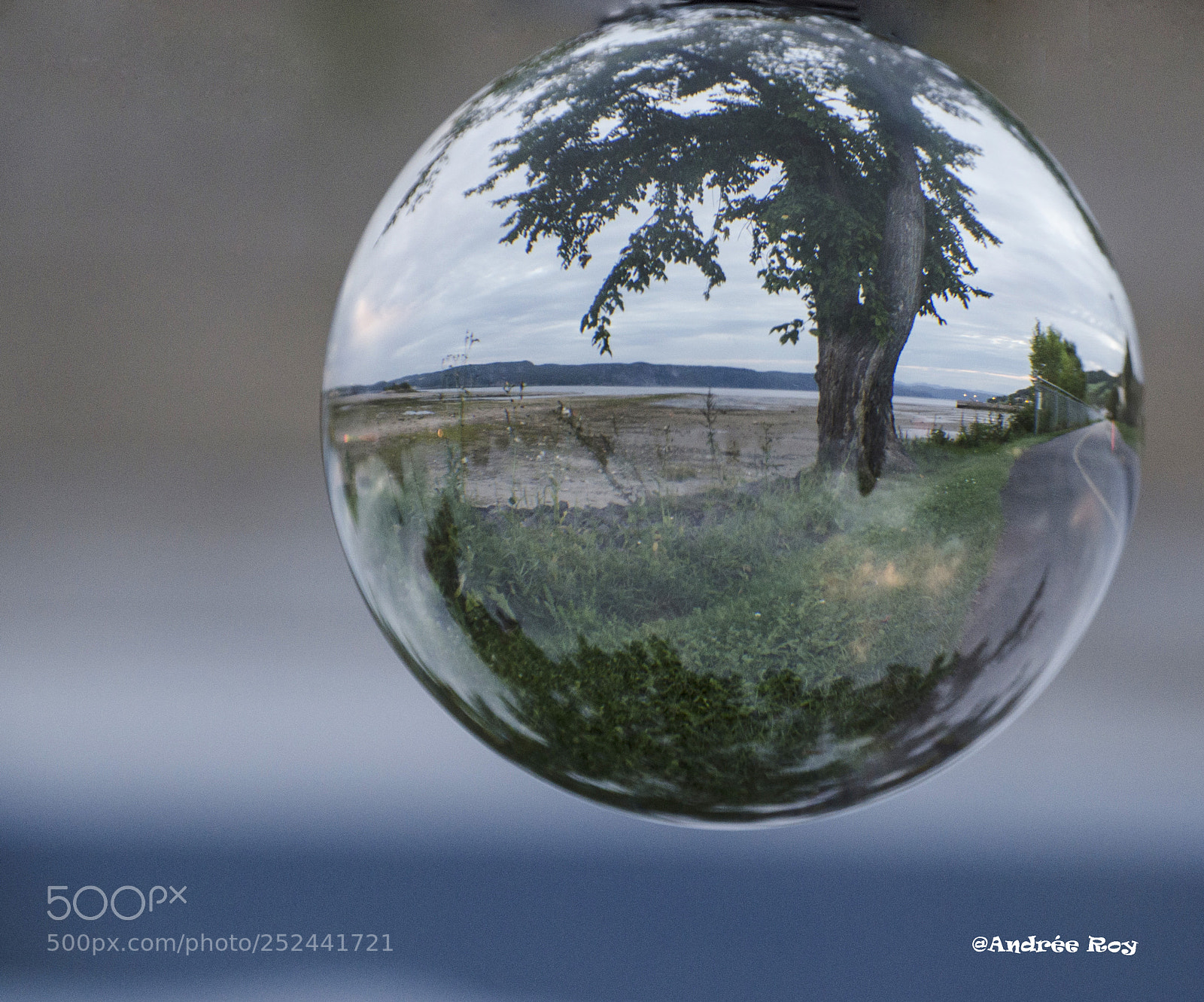 Nikon D5100 sample photo. Prisonnier dans la bulle photography
