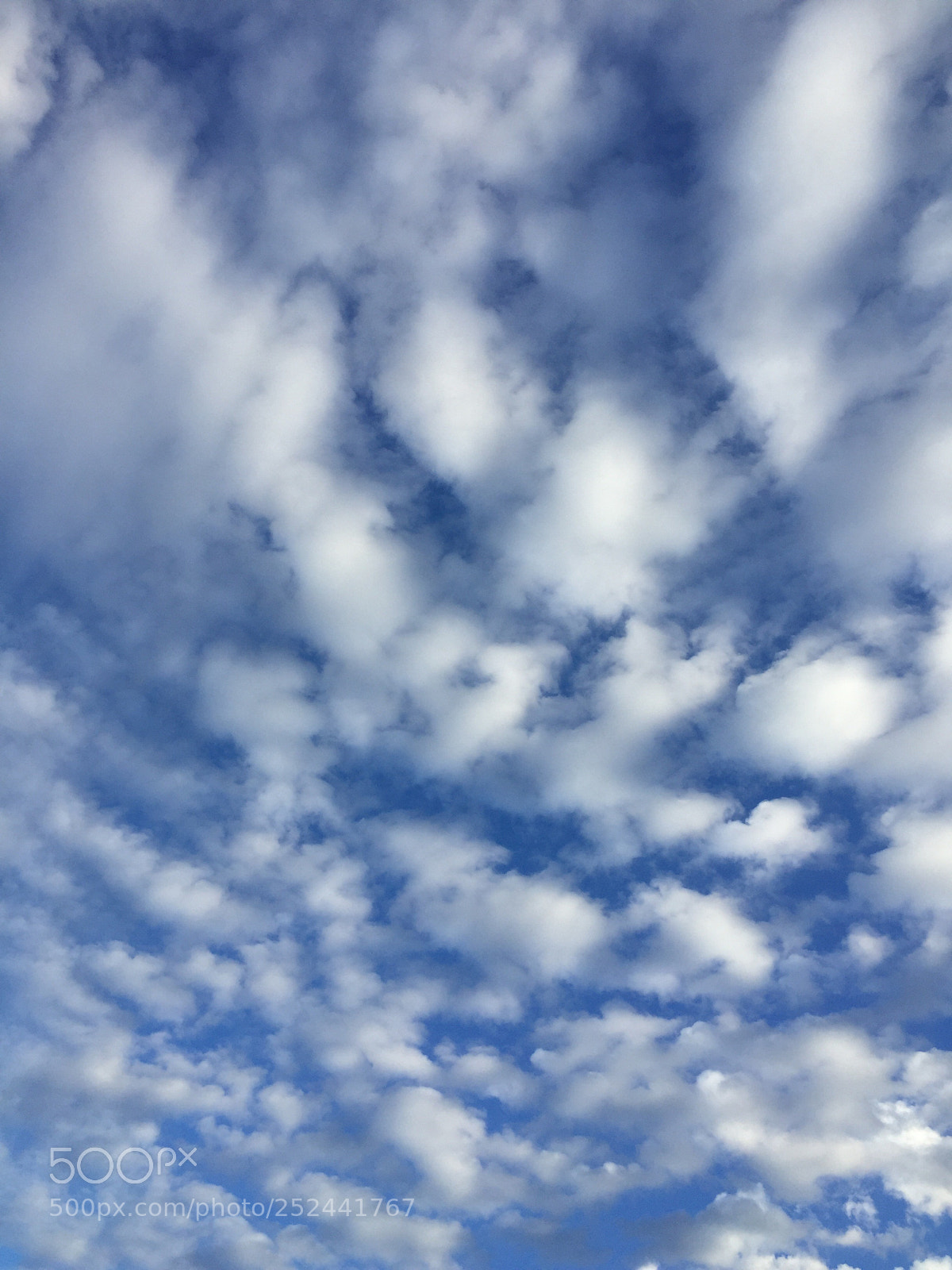 Apple iPhone 6 sample photo. Blue and white  photography