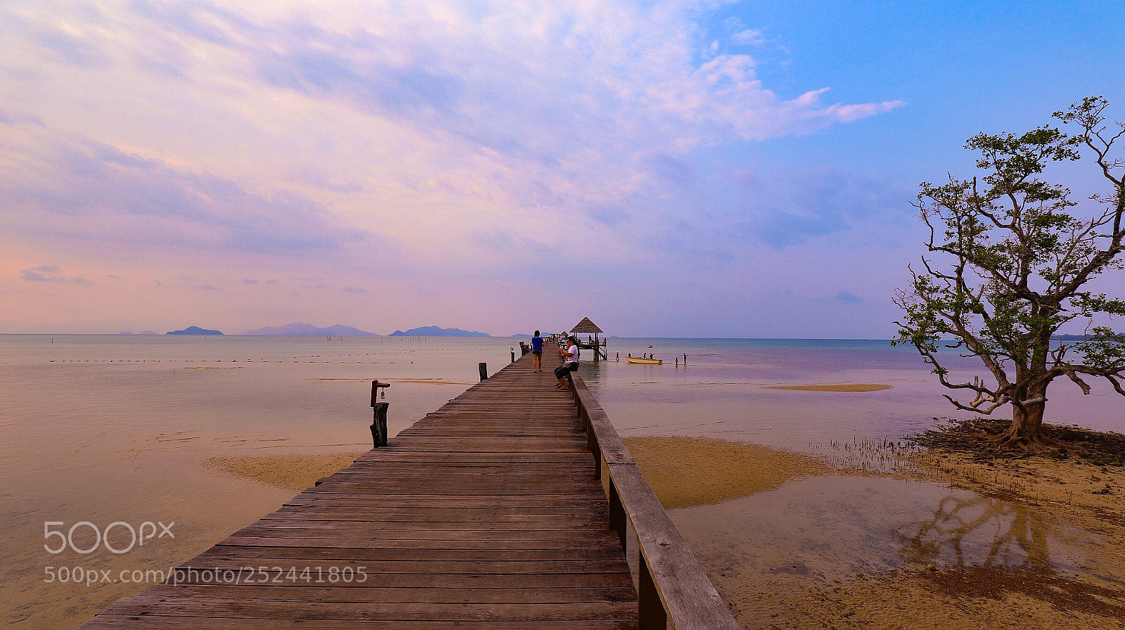 Canon EOS 6D Mark II sample photo. Untitled photography