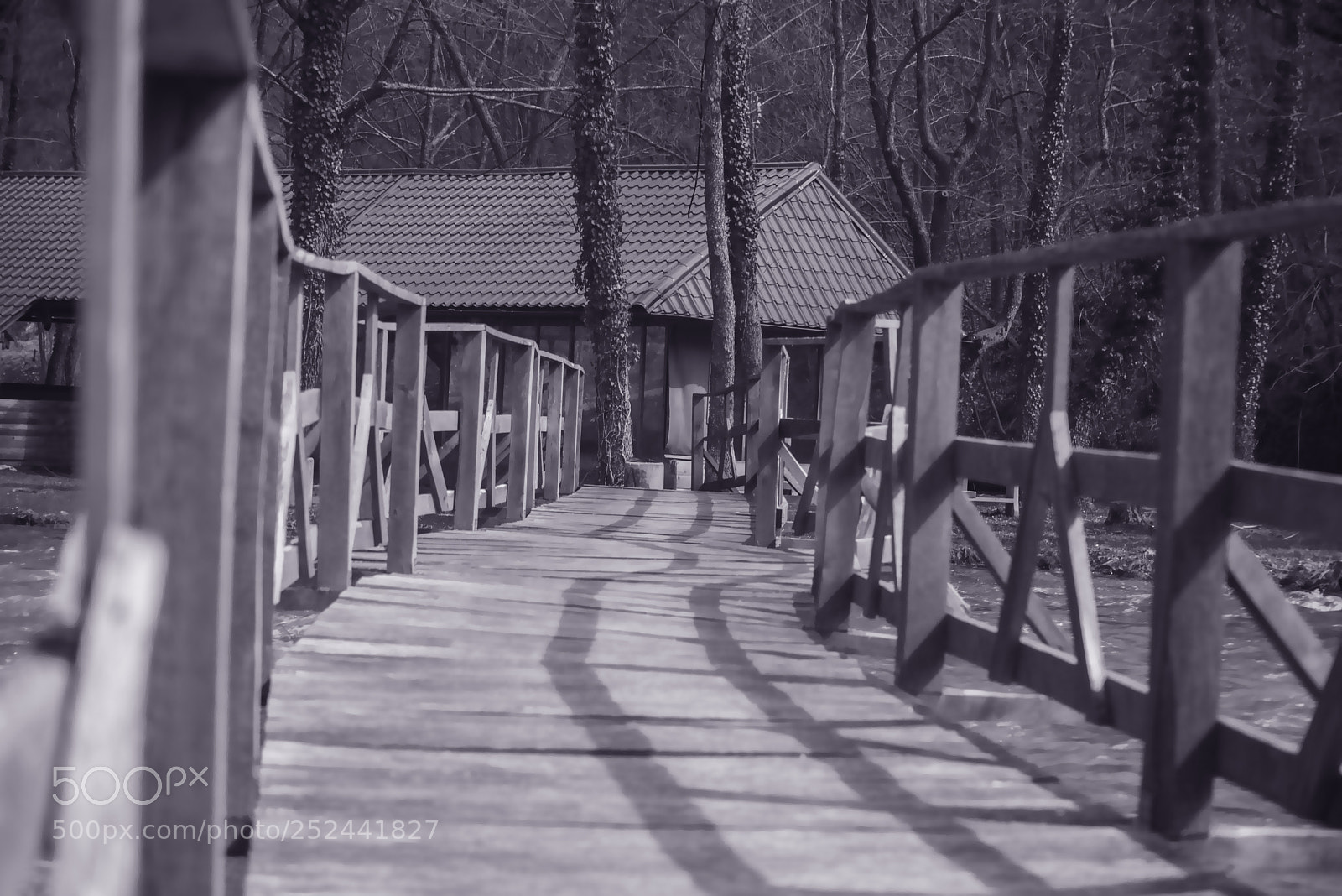 Nikon D600 sample photo. Old bridge photography