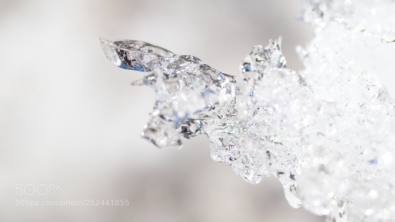 Nikon D3300 sample photo. Ice photography