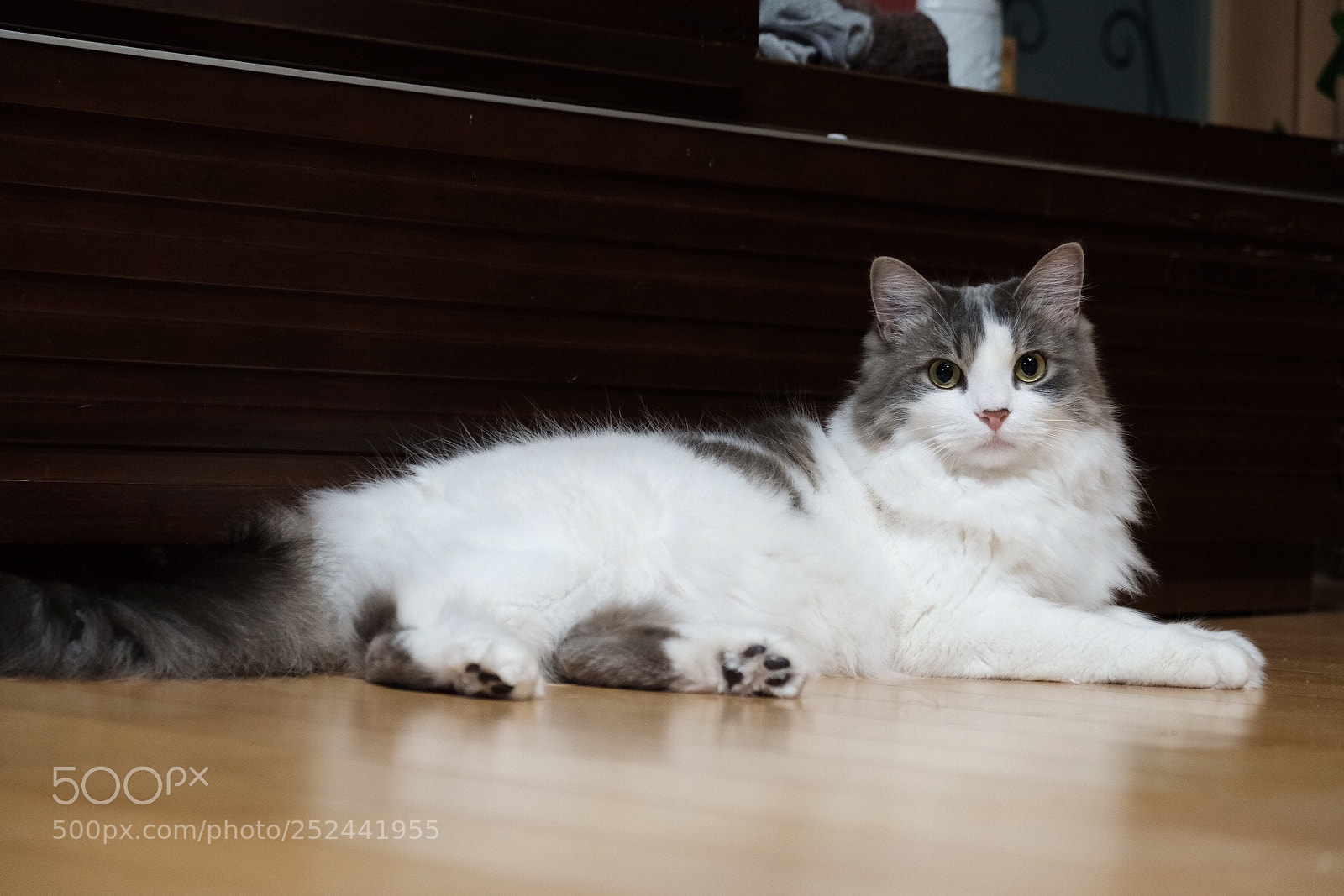 Fujifilm X-T20 sample photo. Untitled photography