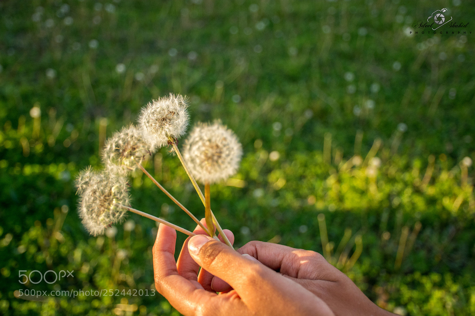 Nikon D7100 sample photo. Make a wish. photography