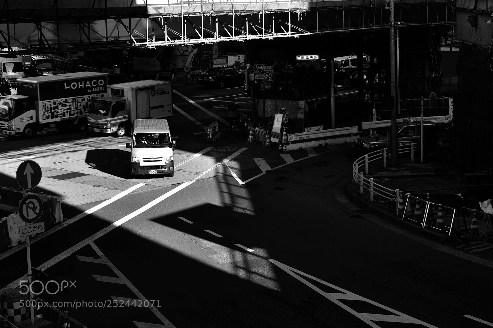 Nikon D810 sample photo. A crossing d810 photography