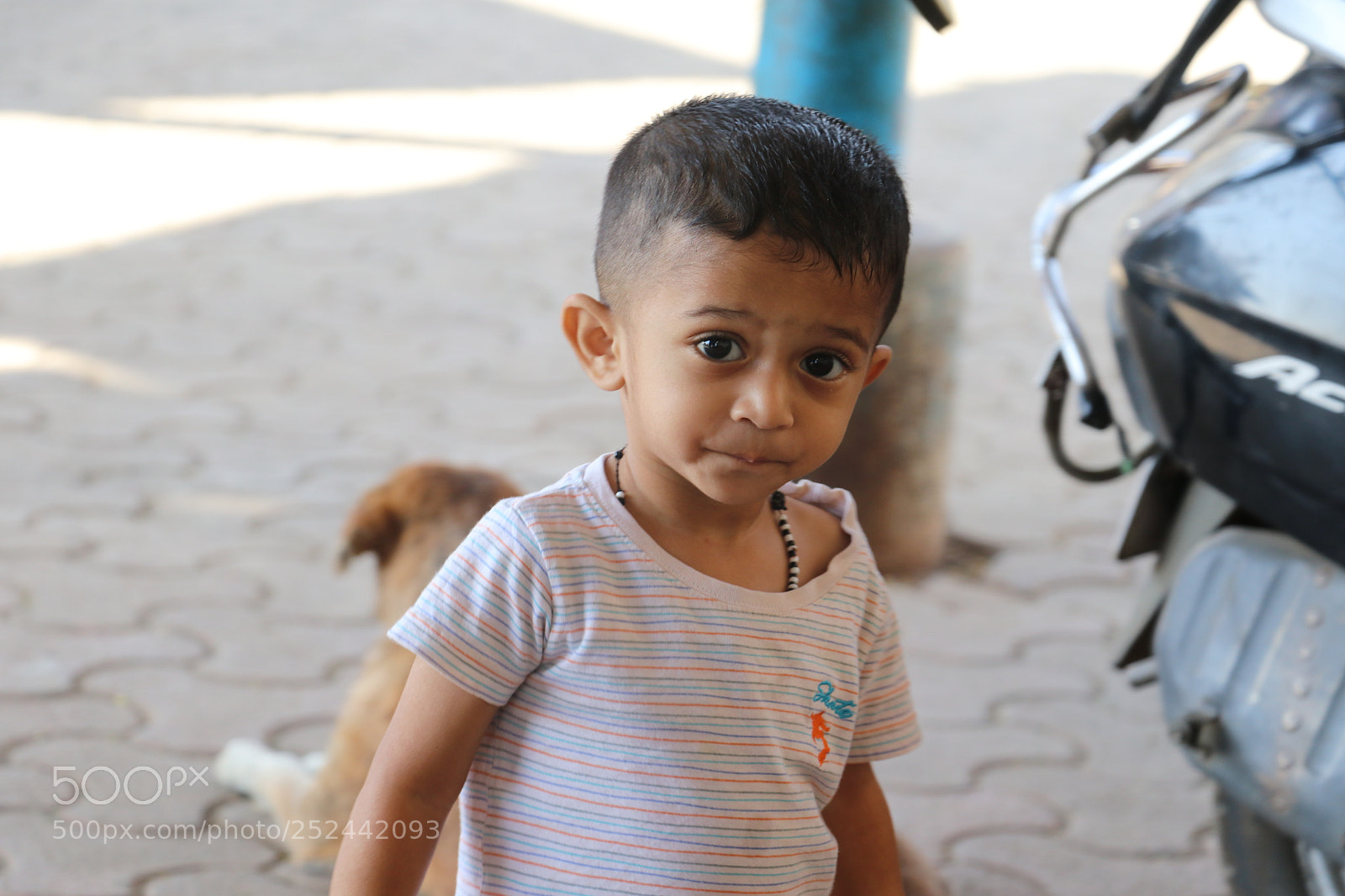 Canon EOS 80D sample photo. Untitled photography