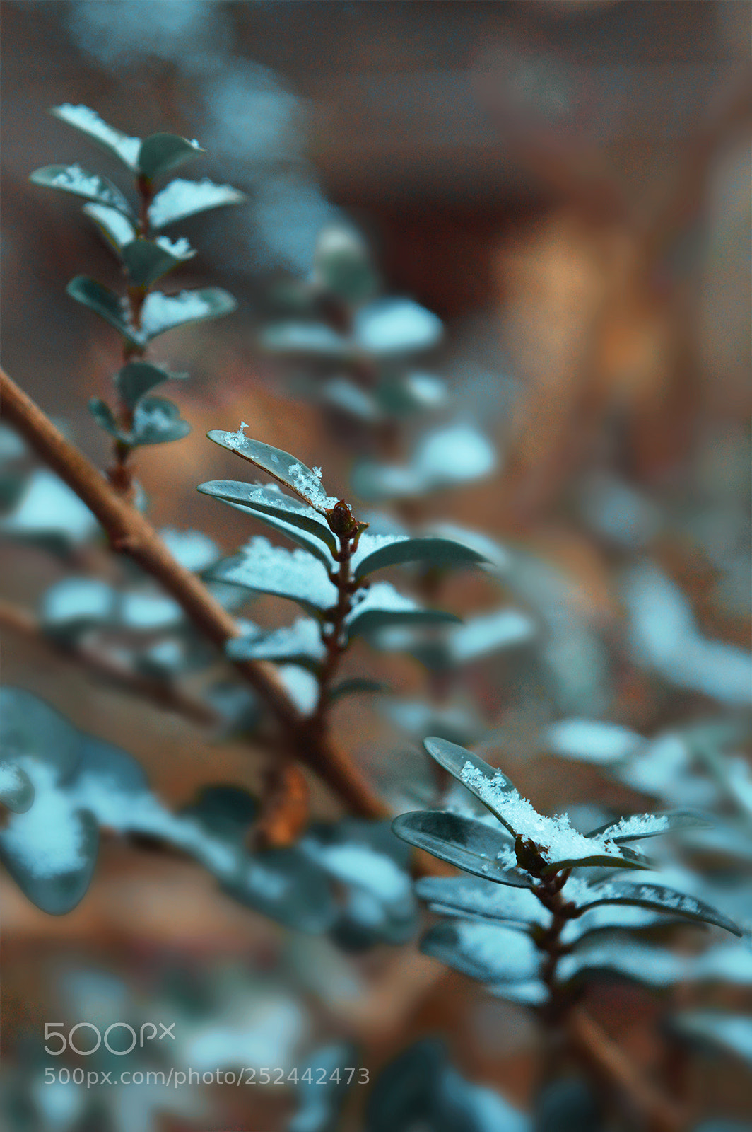 Nikon D3200 sample photo. Stronger photography