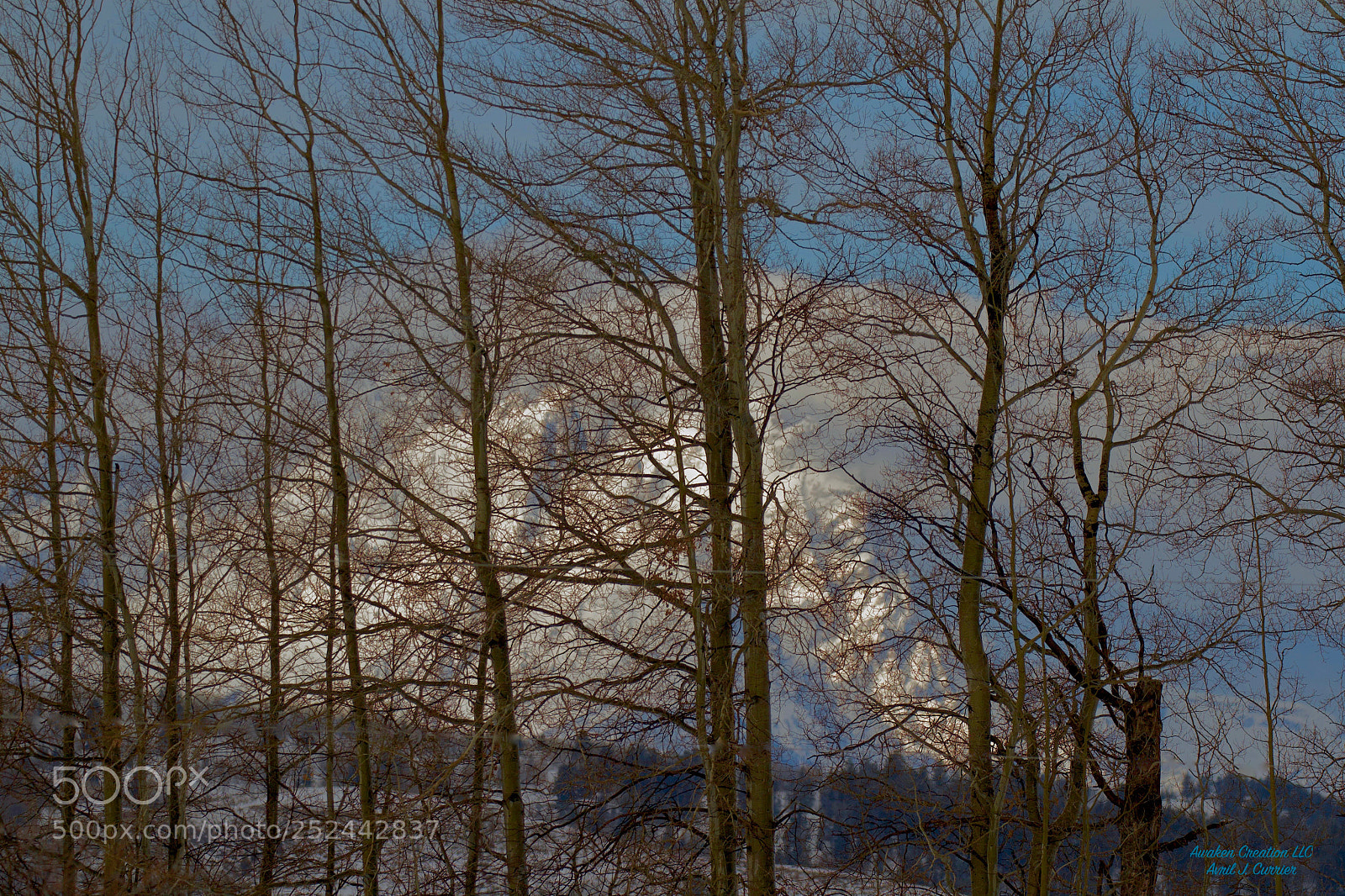 Canon EOS 7D sample photo. Mountains in thetrees photography