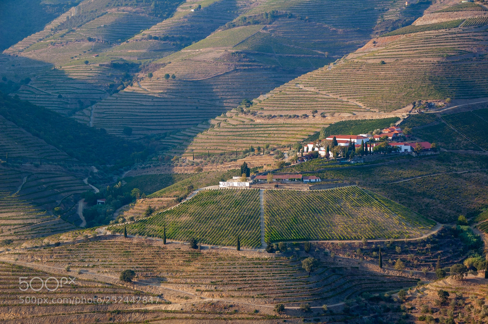 Nikon D40 sample photo. Striped landscape photography