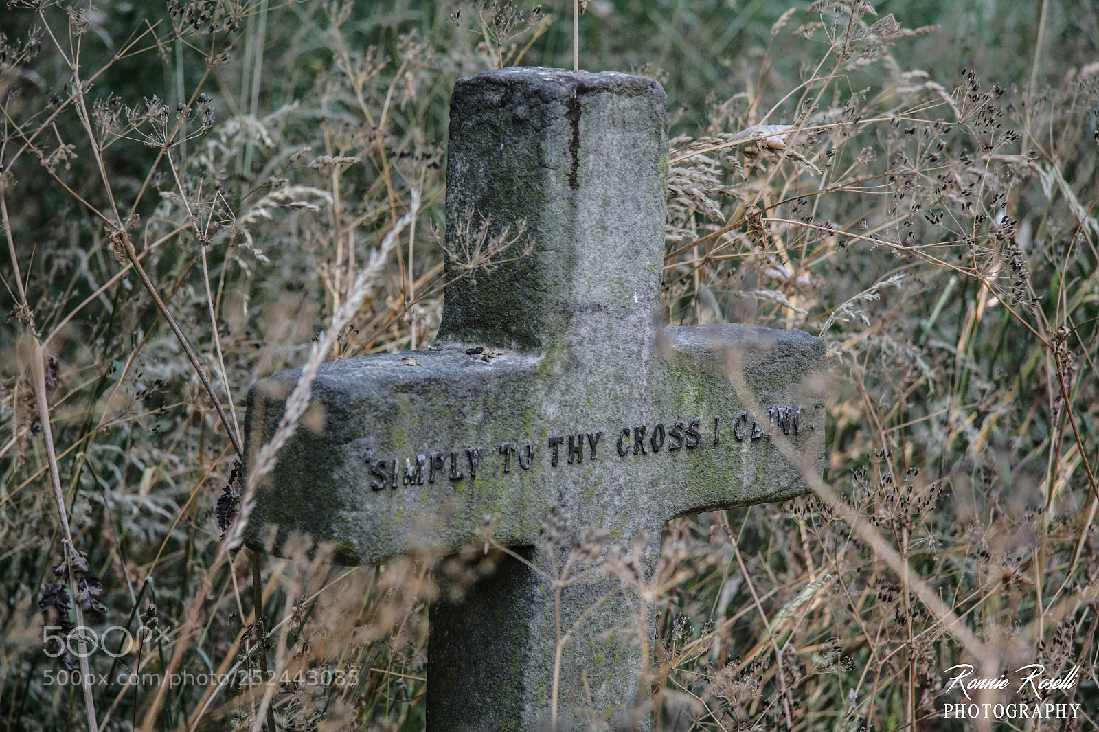 Canon EOS 40D sample photo. London tomb photography