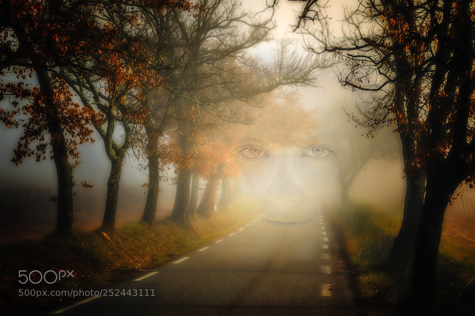 Canon EOS 70D sample photo. Eyes in the fog photography