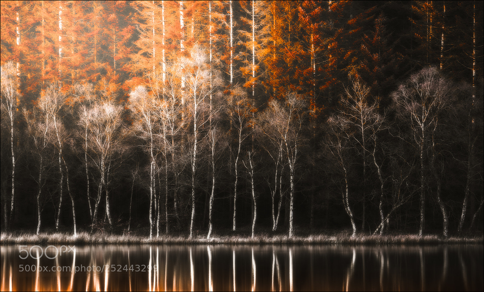 Canon EOS 5D Mark II sample photo. Resurrection photography
