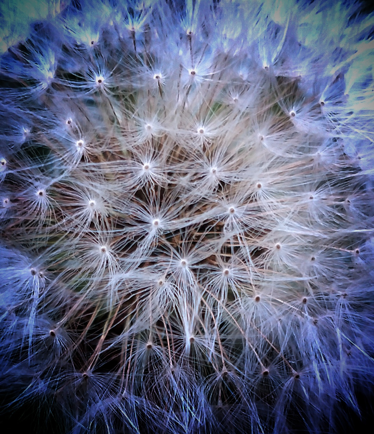 Motorola XT1650 sample photo. About to blow away photography