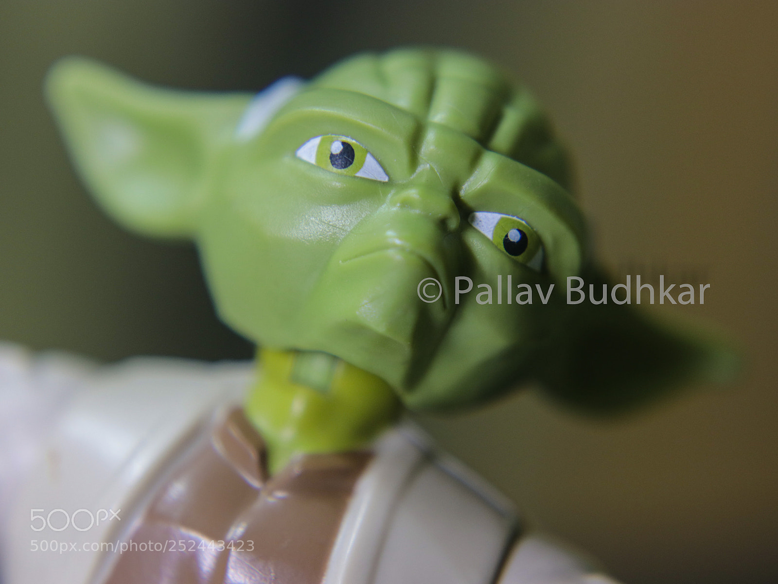 Canon EOS 80D sample photo. Dr. yoda photography