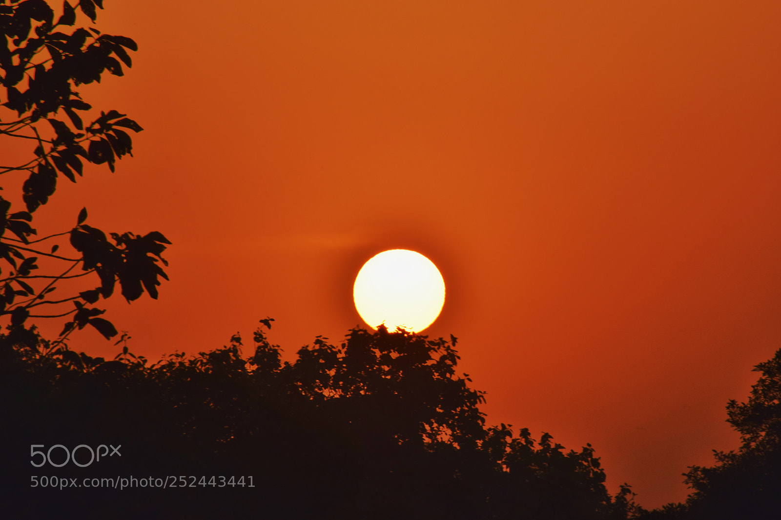Nikon D5300 sample photo. Sunrise photography