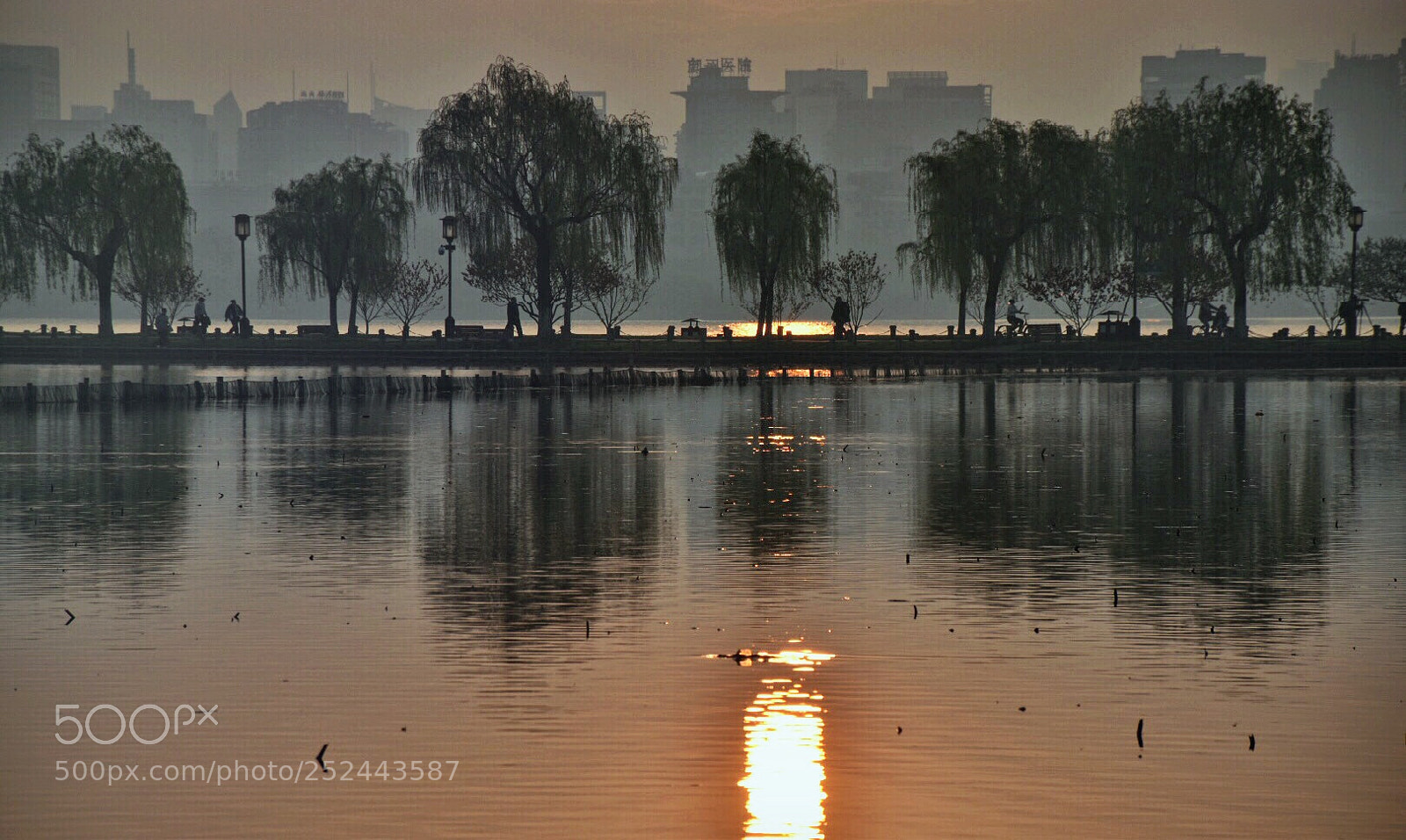 Nikon D5500 sample photo. Fresh morning photography