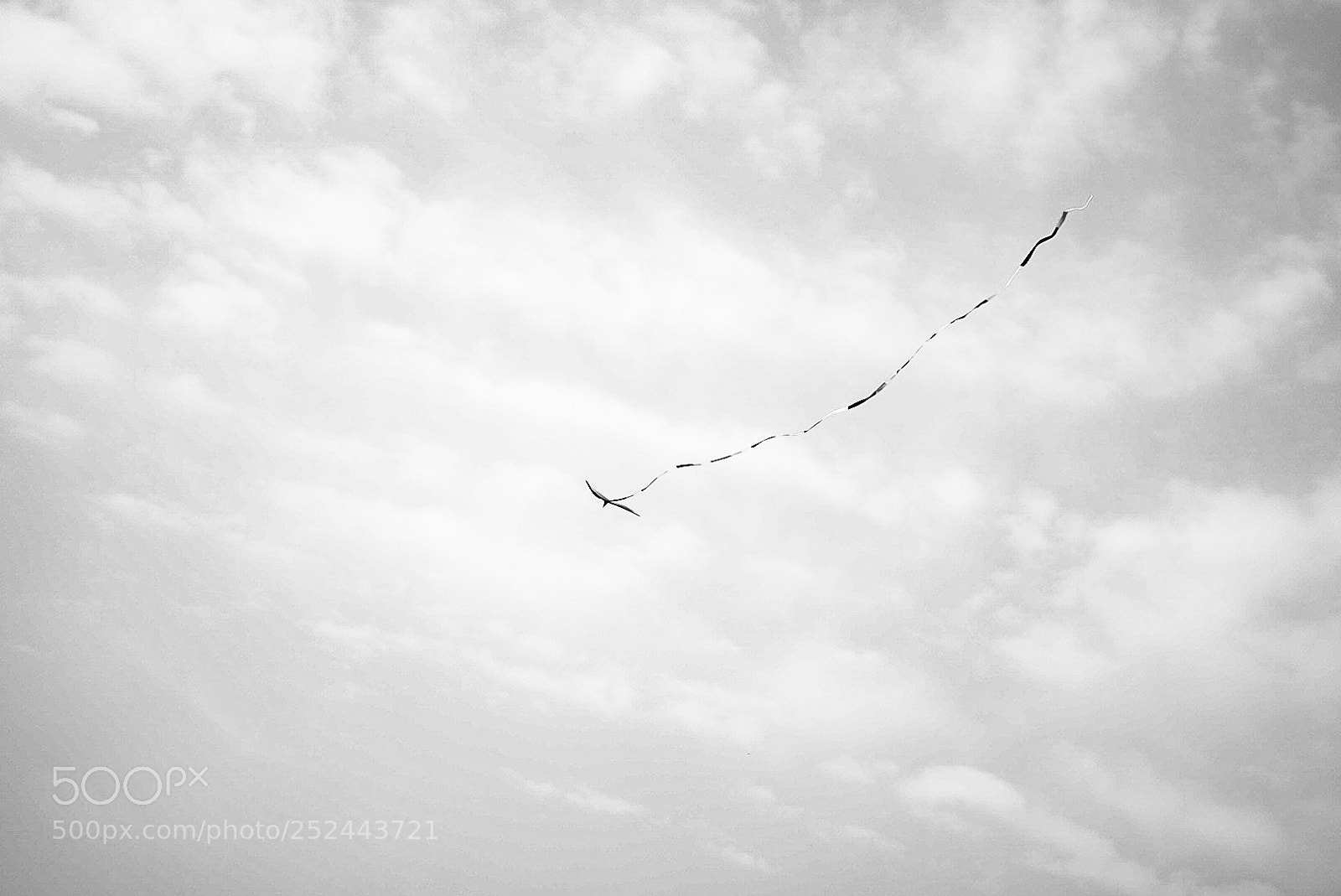 Sony a7 sample photo. Untitled photography