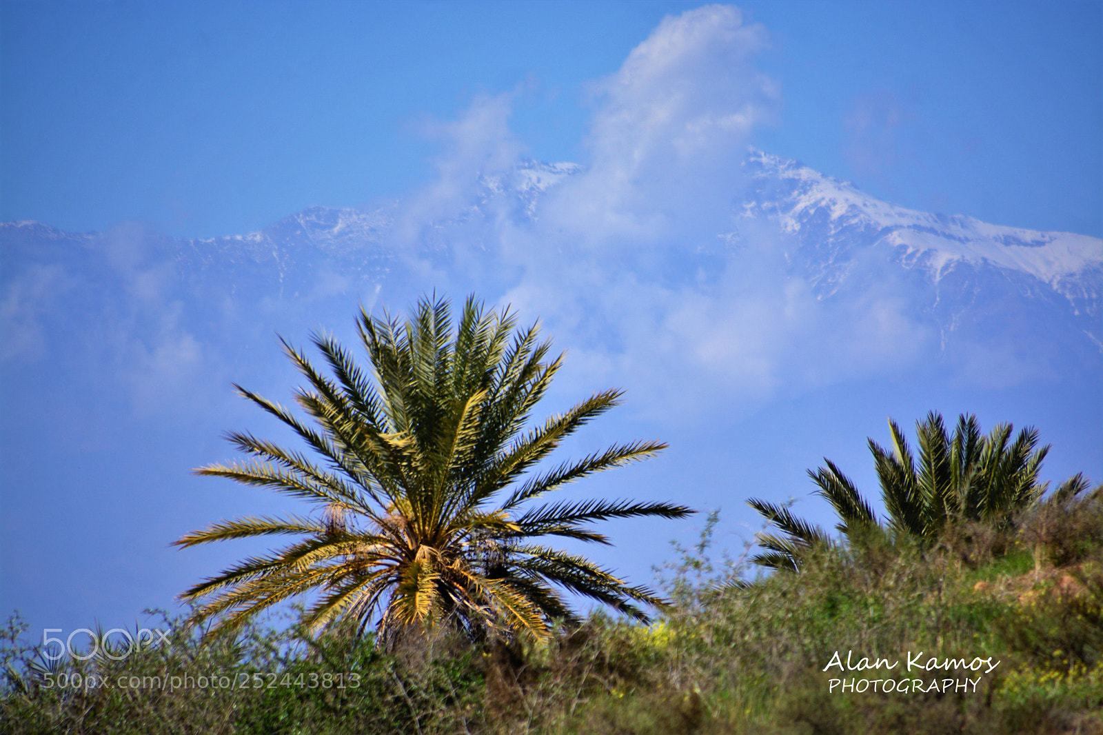 Nikon D5200 sample photo. Untitled photography