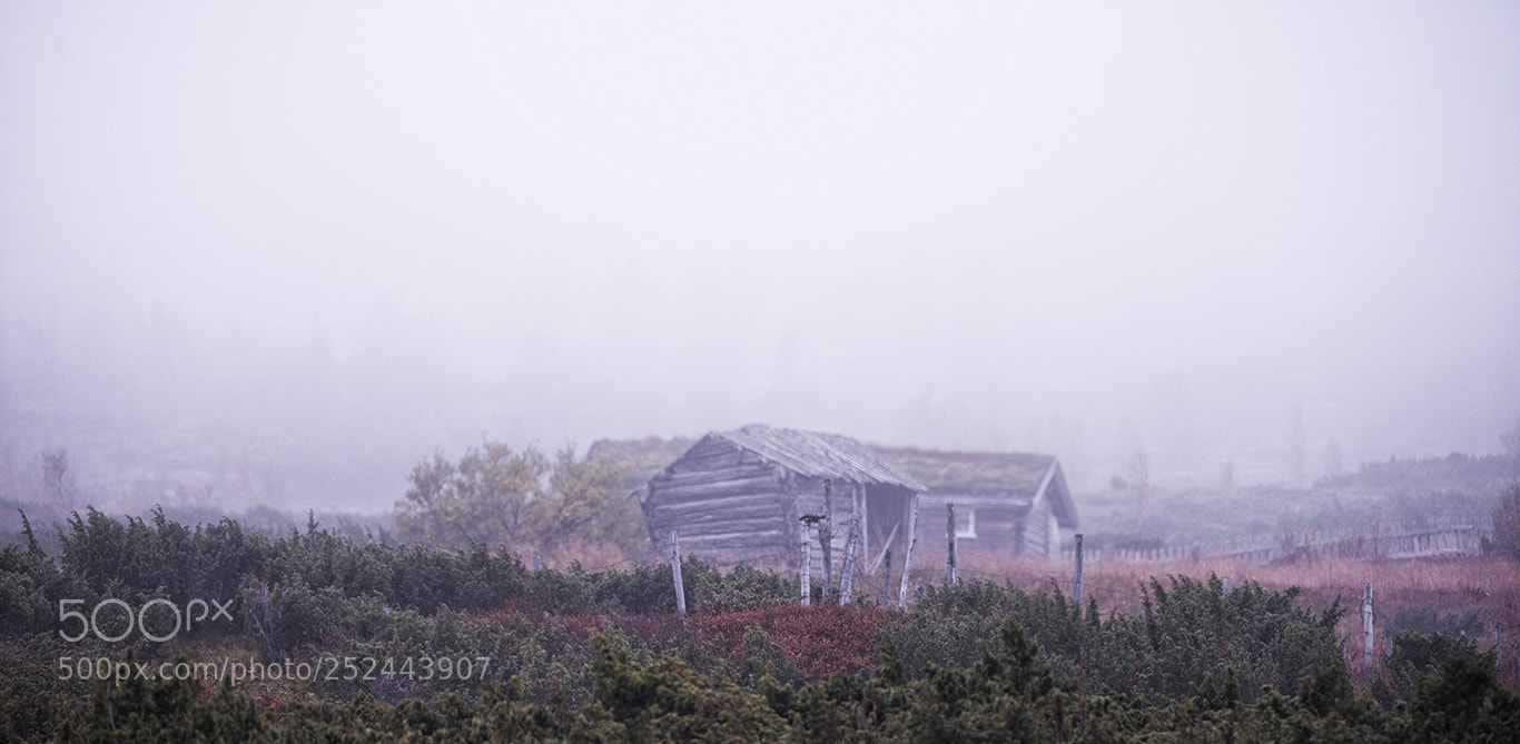 Nikon D800E sample photo. October.. photography