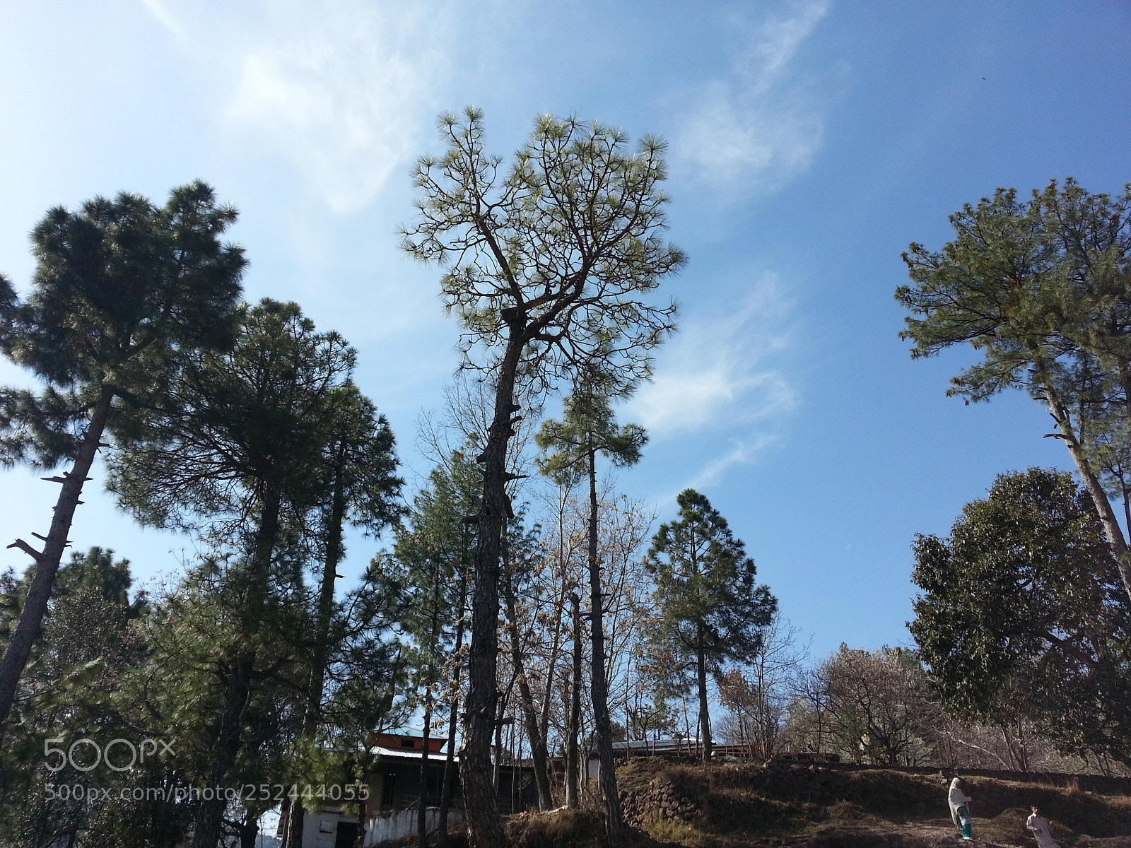 Samsung Galaxy S3 sample photo. Untitled photography