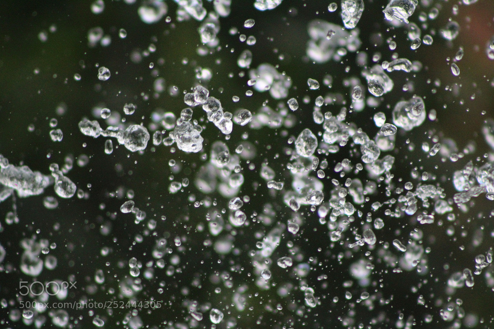 Canon EF 75-300mm f/4-5.6 sample photo. Uji photography