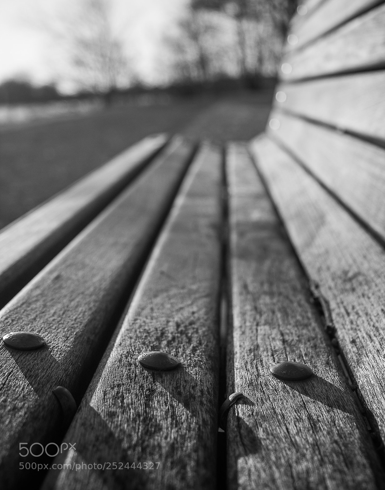 Canon EOS 1300D (EOS Rebel T6 / EOS Kiss X80) sample photo. Solitude  photography