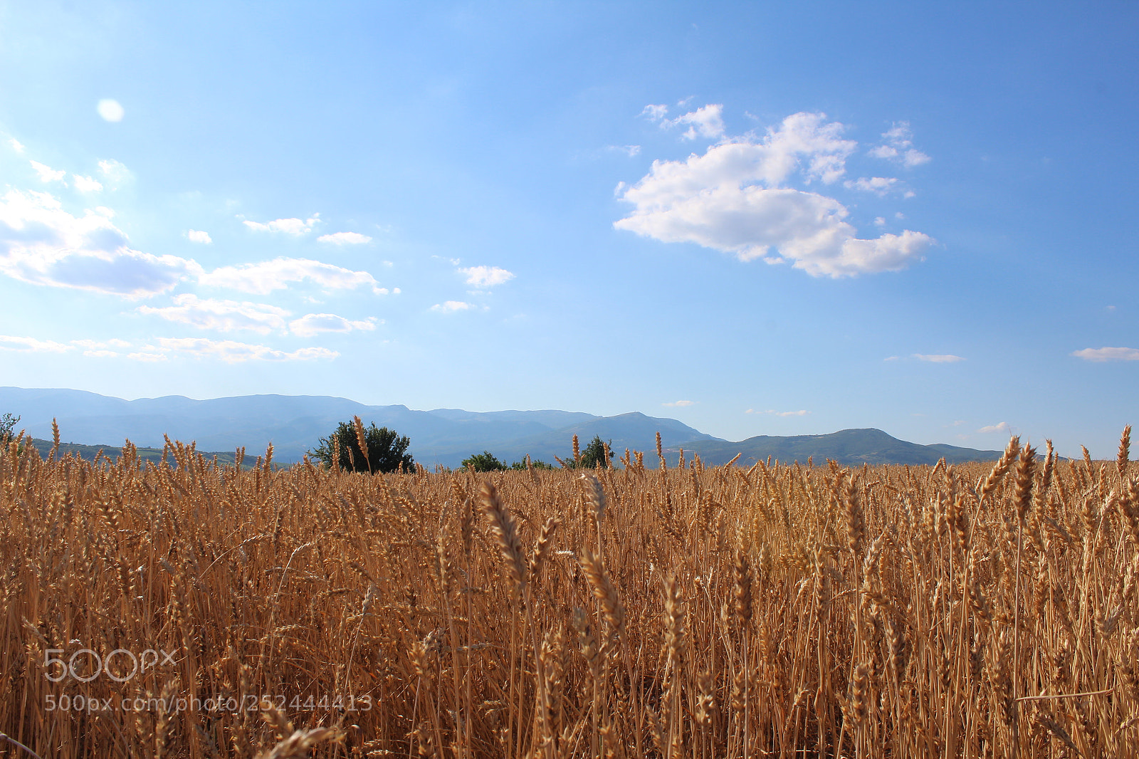 Canon EOS 1300D (EOS Rebel T6 / EOS Kiss X80) sample photo. Gruri photography