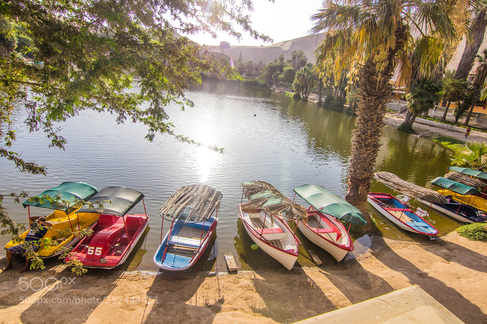 Canon EOS 600D (Rebel EOS T3i / EOS Kiss X5) sample photo. Huacachina photography
