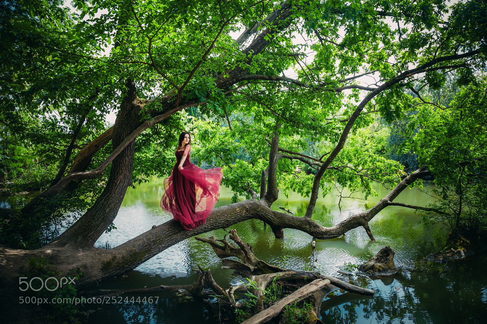 Canon EOS 5D Mark II sample photo. Untitled photography