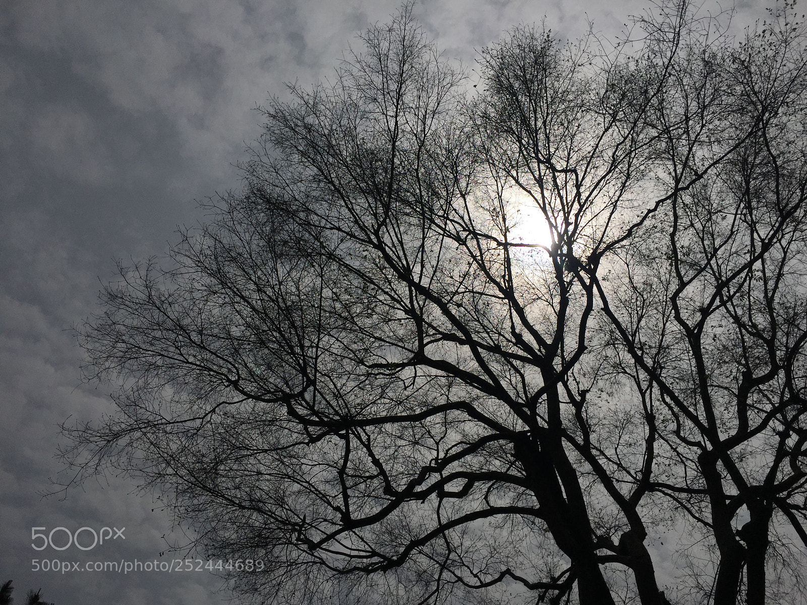 Apple iPhone 6 sample photo. Untitled photography