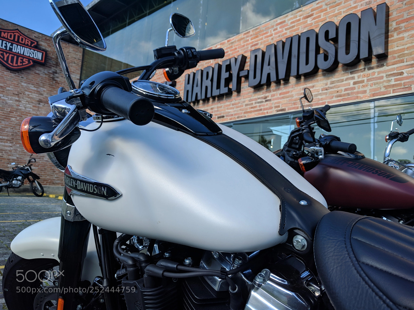 Google Nexus 6P sample photo. Harley davidson photography