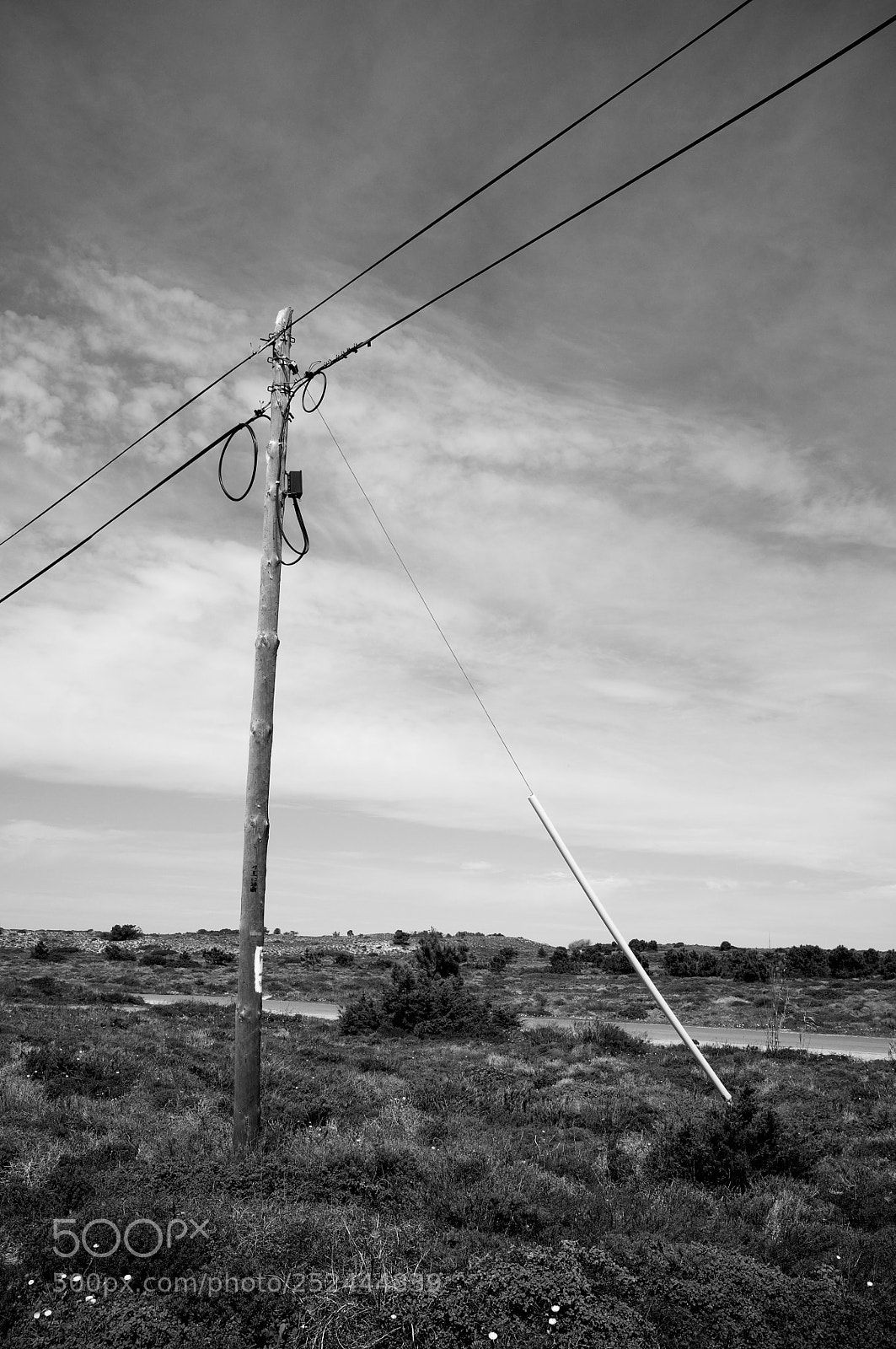 Fujifilm FinePix X100 sample photo. Pole photography