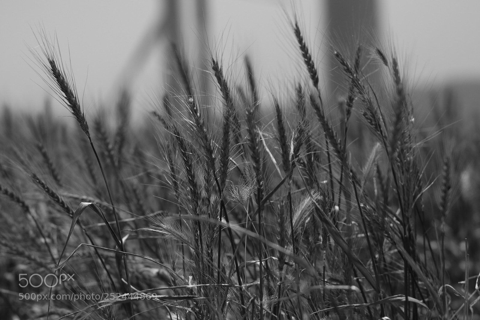 Canon EOS 80D sample photo. Untitled photography