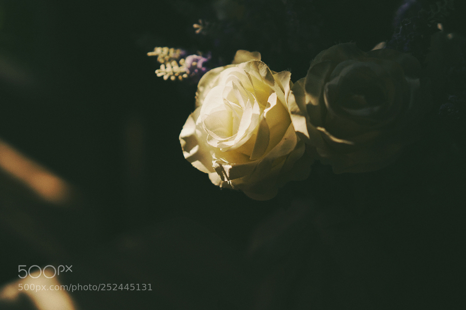Sony a7 II sample photo. Flower photography