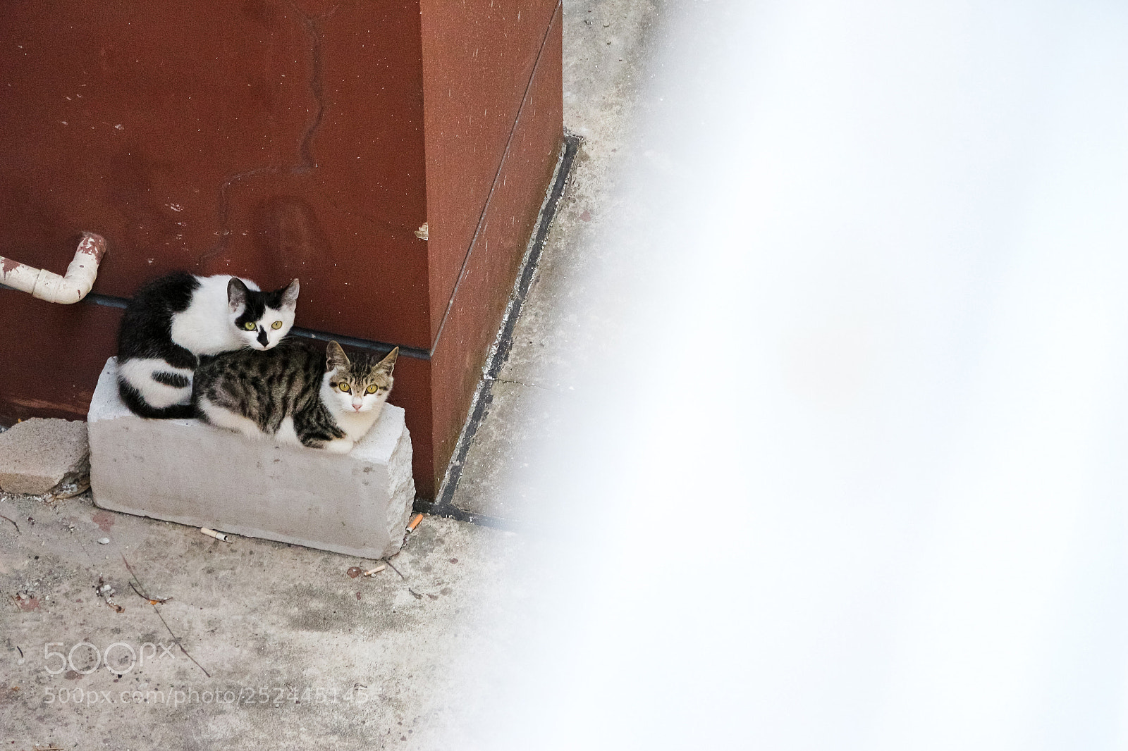 Canon EOS 700D (EOS Rebel T5i / EOS Kiss X7i) sample photo. Mmmm.... photography