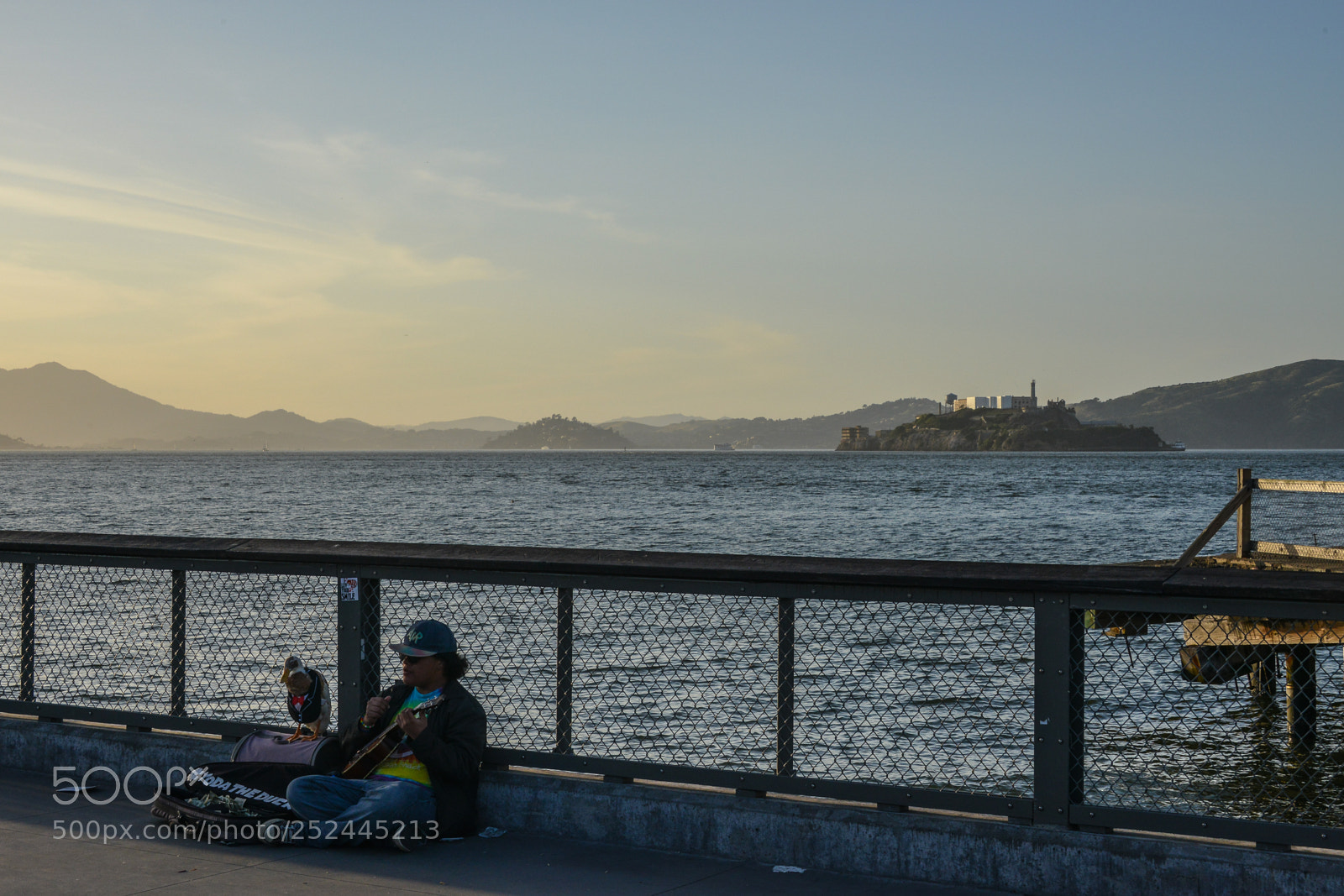Nikon D800 sample photo. Street musician and his photography