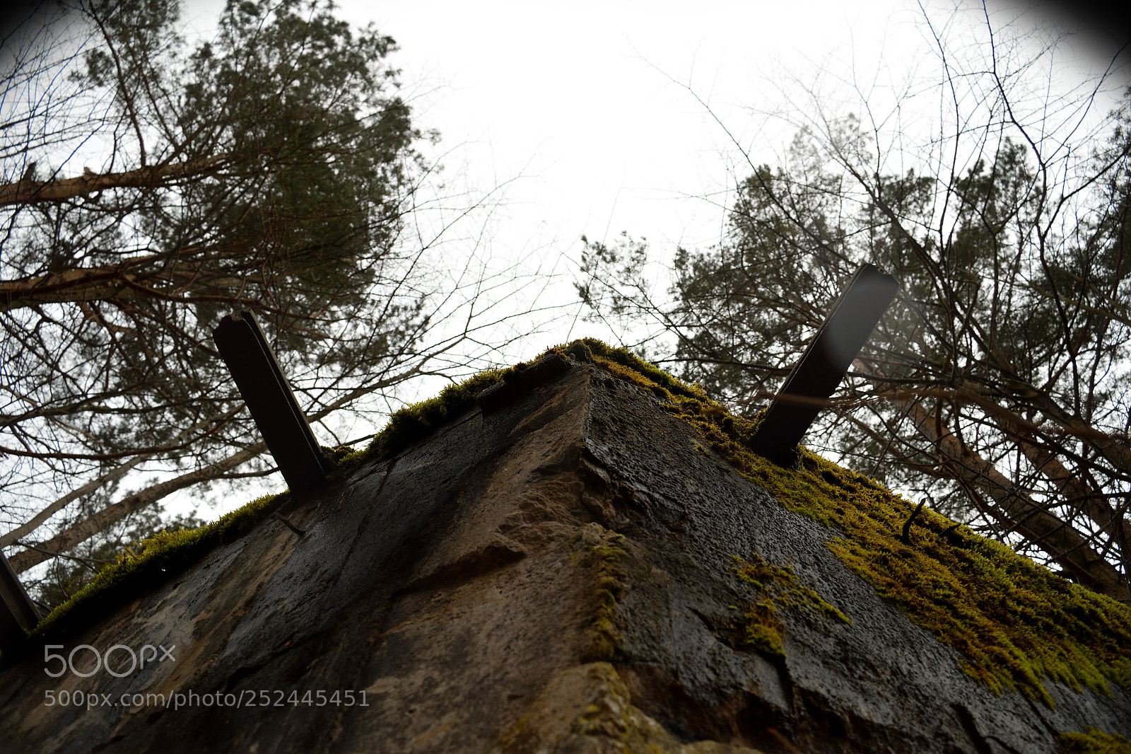 Nikon D3300 sample photo. Bunker photography