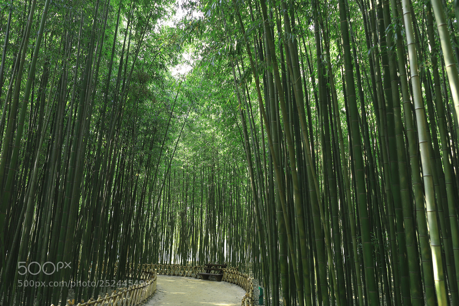 Canon EOS 6D Mark II sample photo. Rest area photography