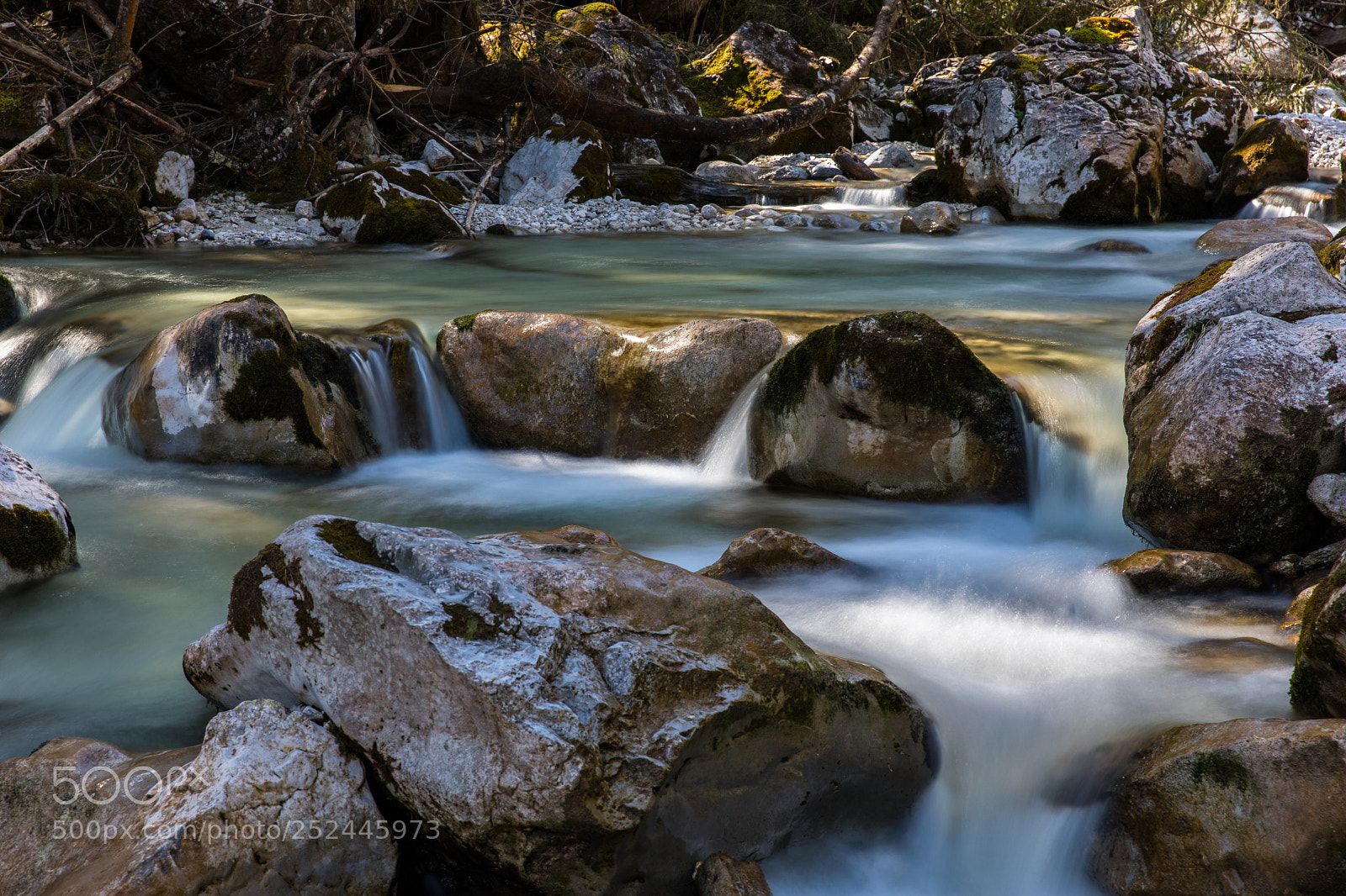 Canon EOS 5D Mark IV sample photo. Ramsauer ache photography