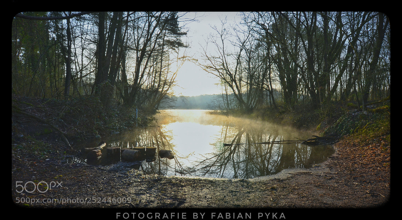 Nikon D5100 sample photo. Untitled photography