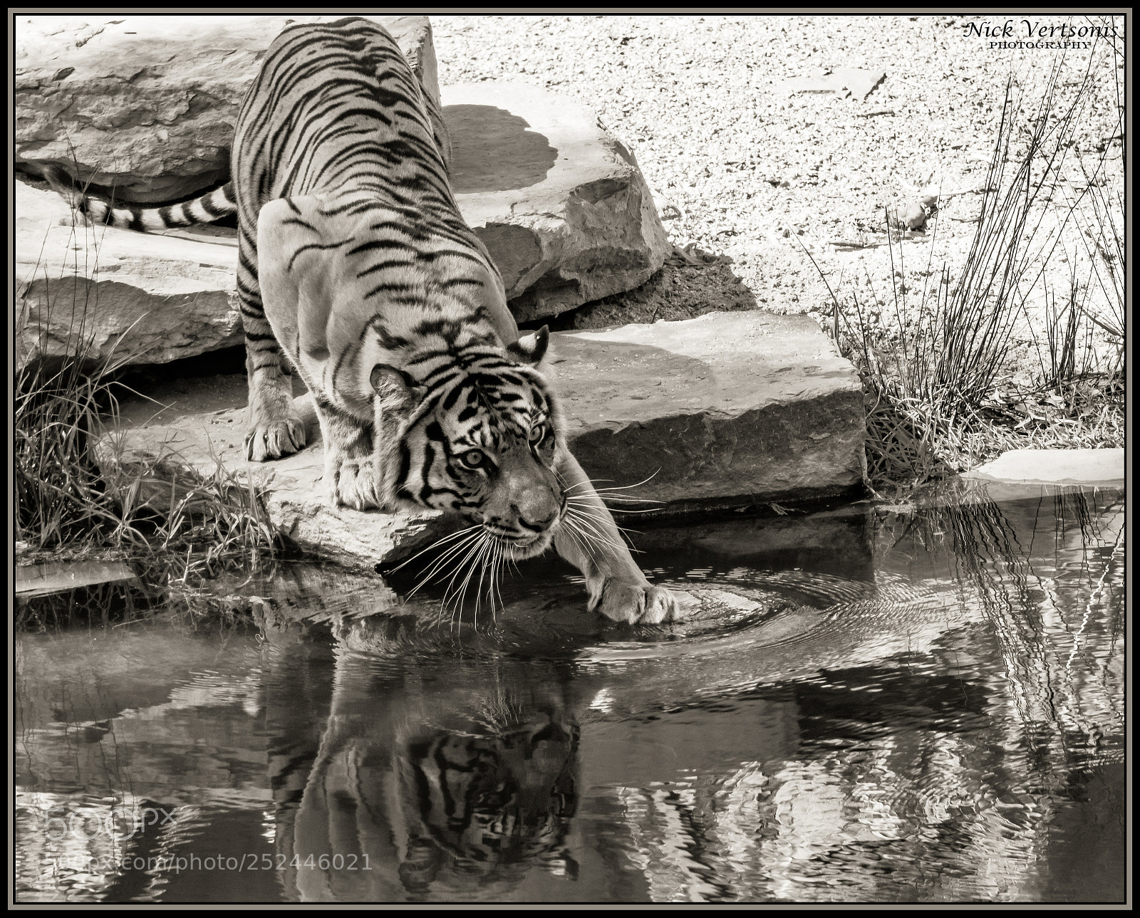 Nikon D7200 sample photo. What's the water like??? photography