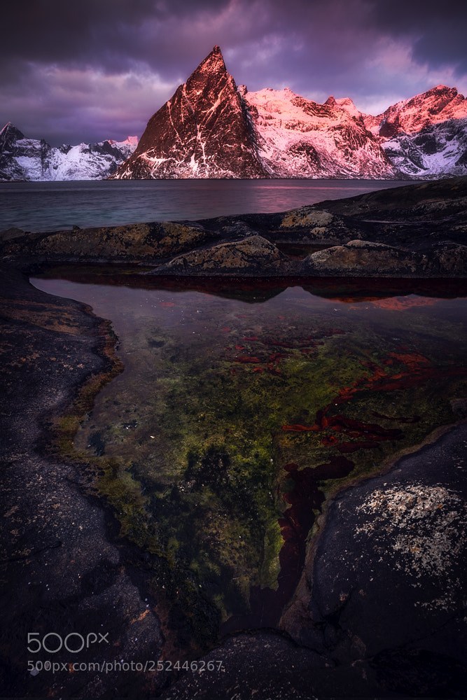 Canon EOS 5D Mark IV sample photo. Arctic pools photography