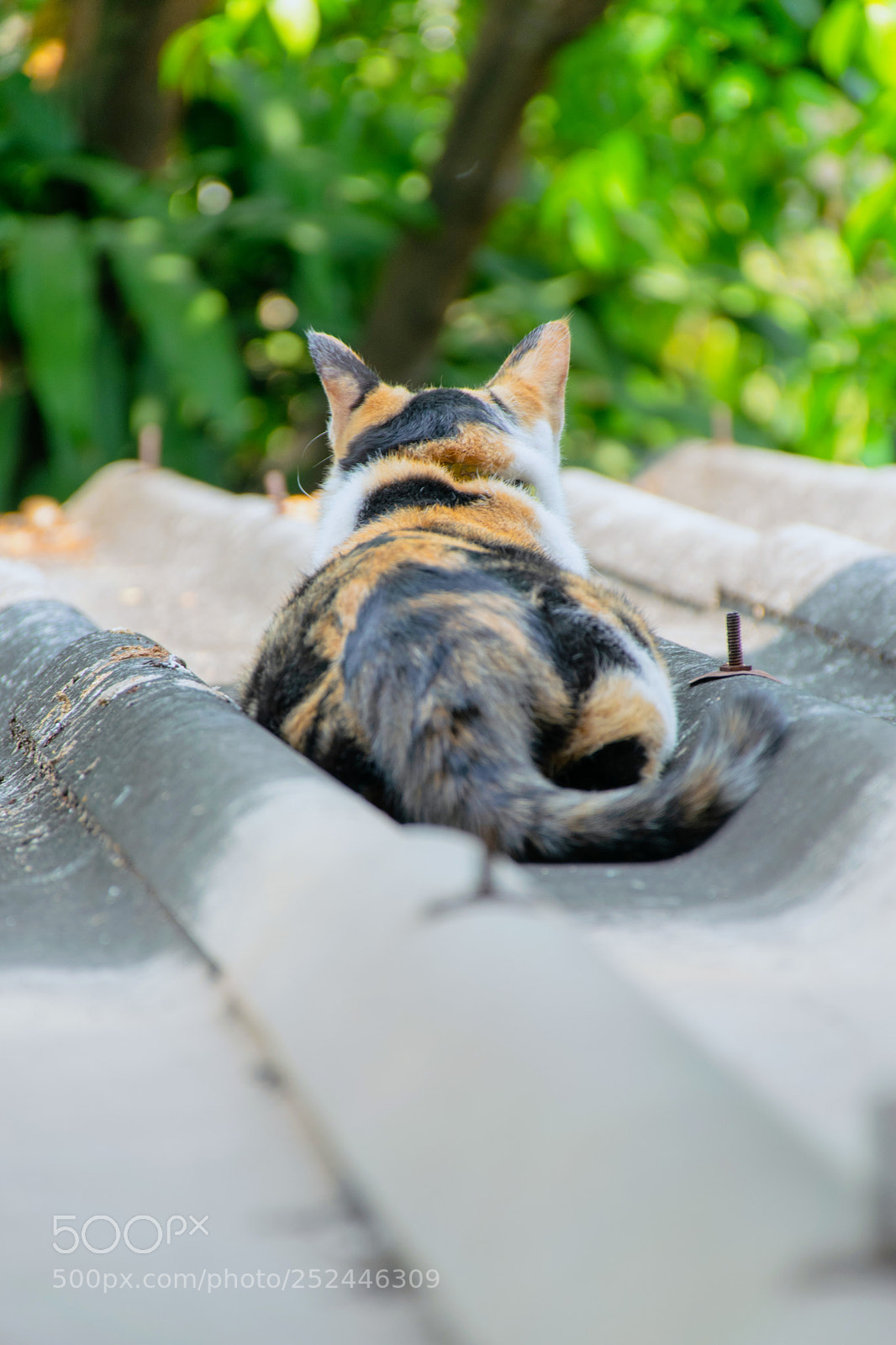 Nikon D5300 sample photo. Turn back. photography