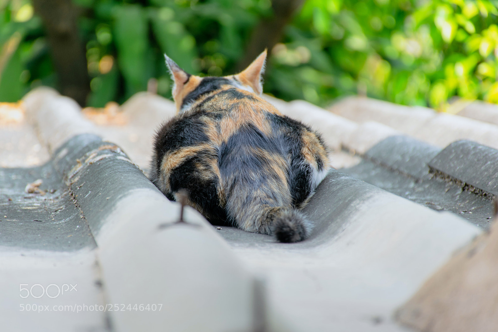 Nikon D5300 sample photo. Turn back. photography