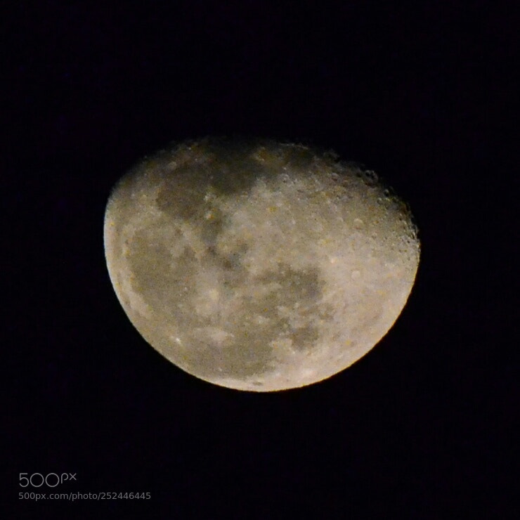 Nikon D5100 sample photo. Untitled photography