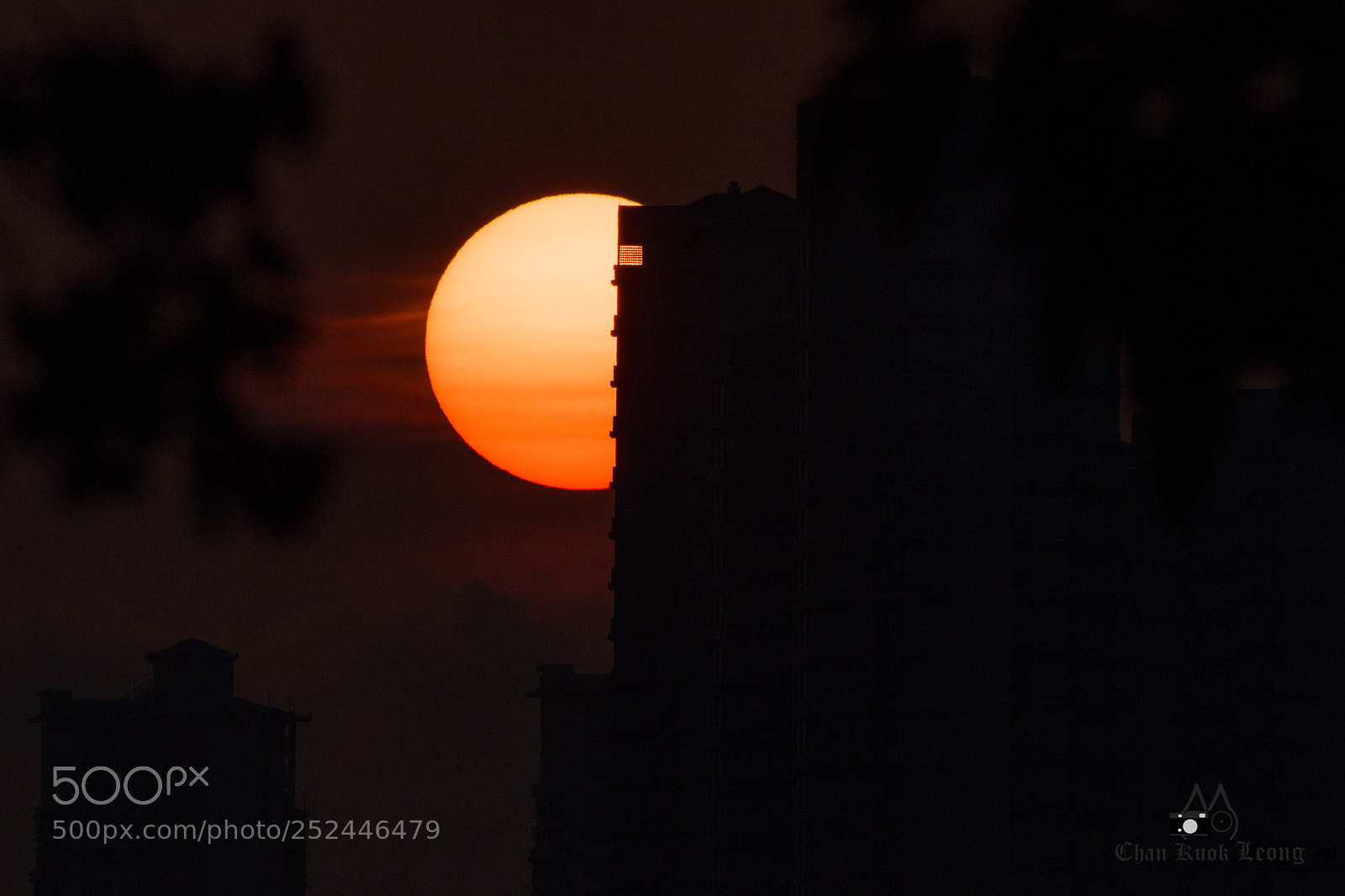Nikon D500 sample photo. Sun set photography