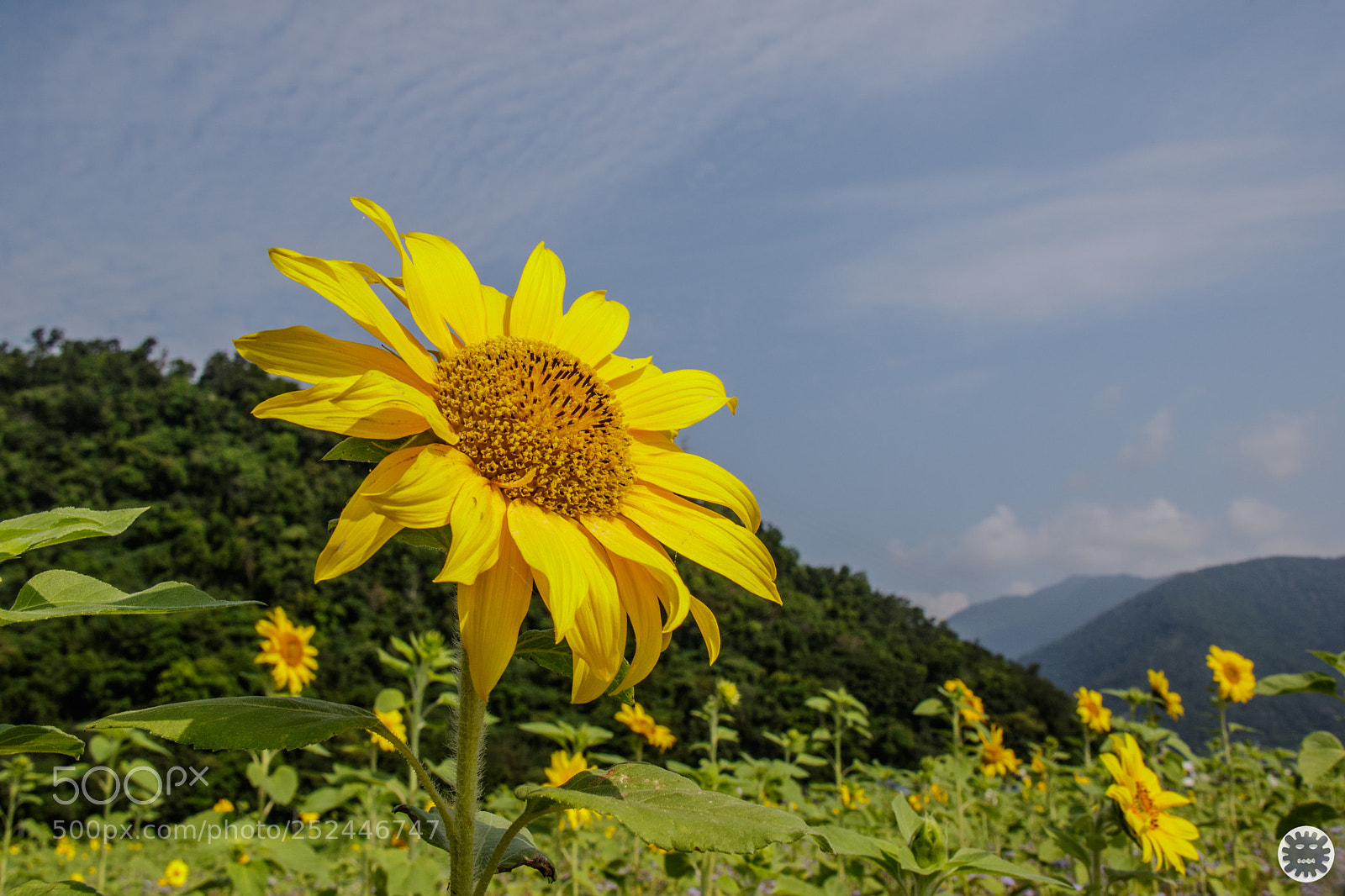 Canon EOS 7D Mark II sample photo. D photography