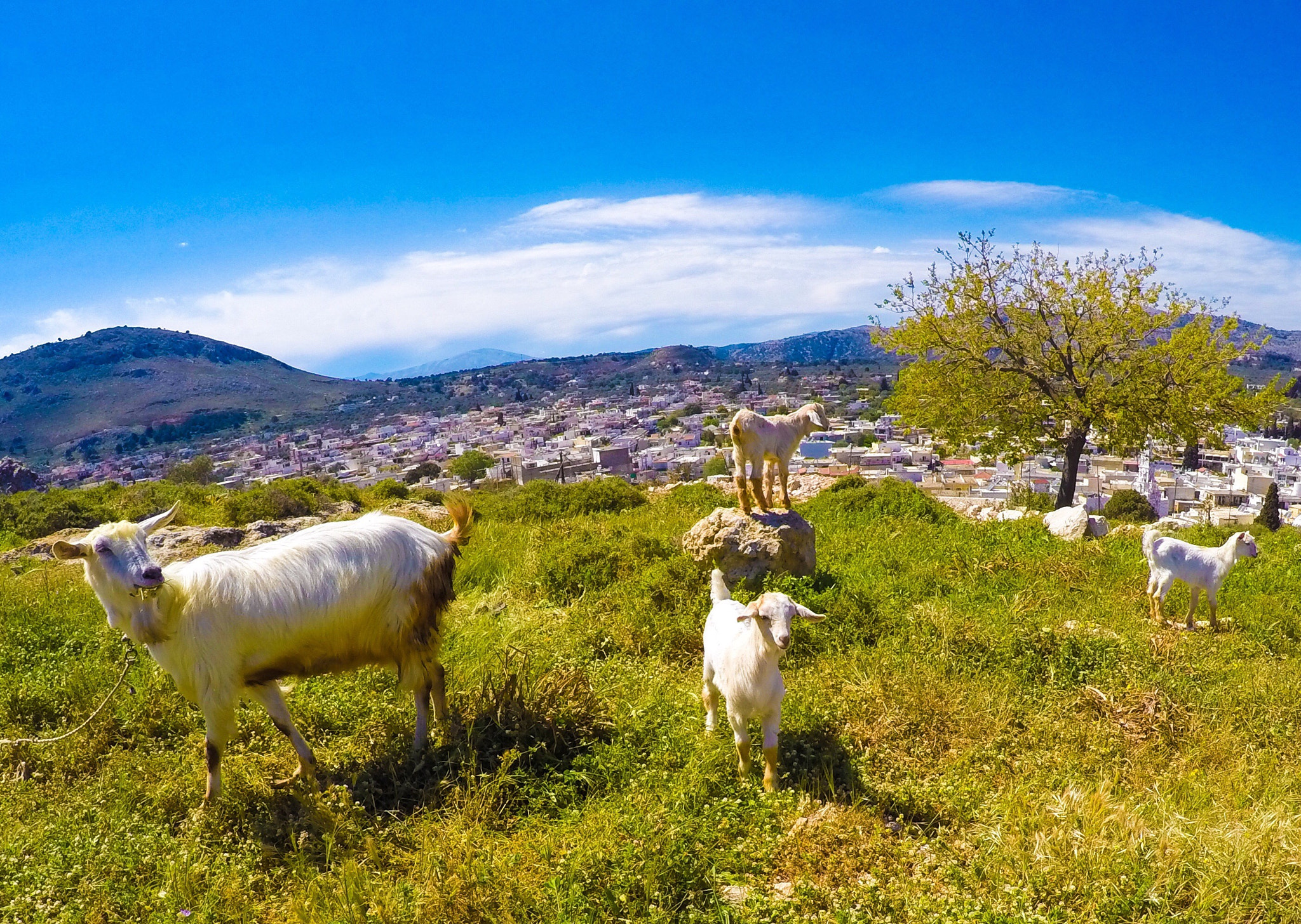 GoPro HERO4 Silver sample photo