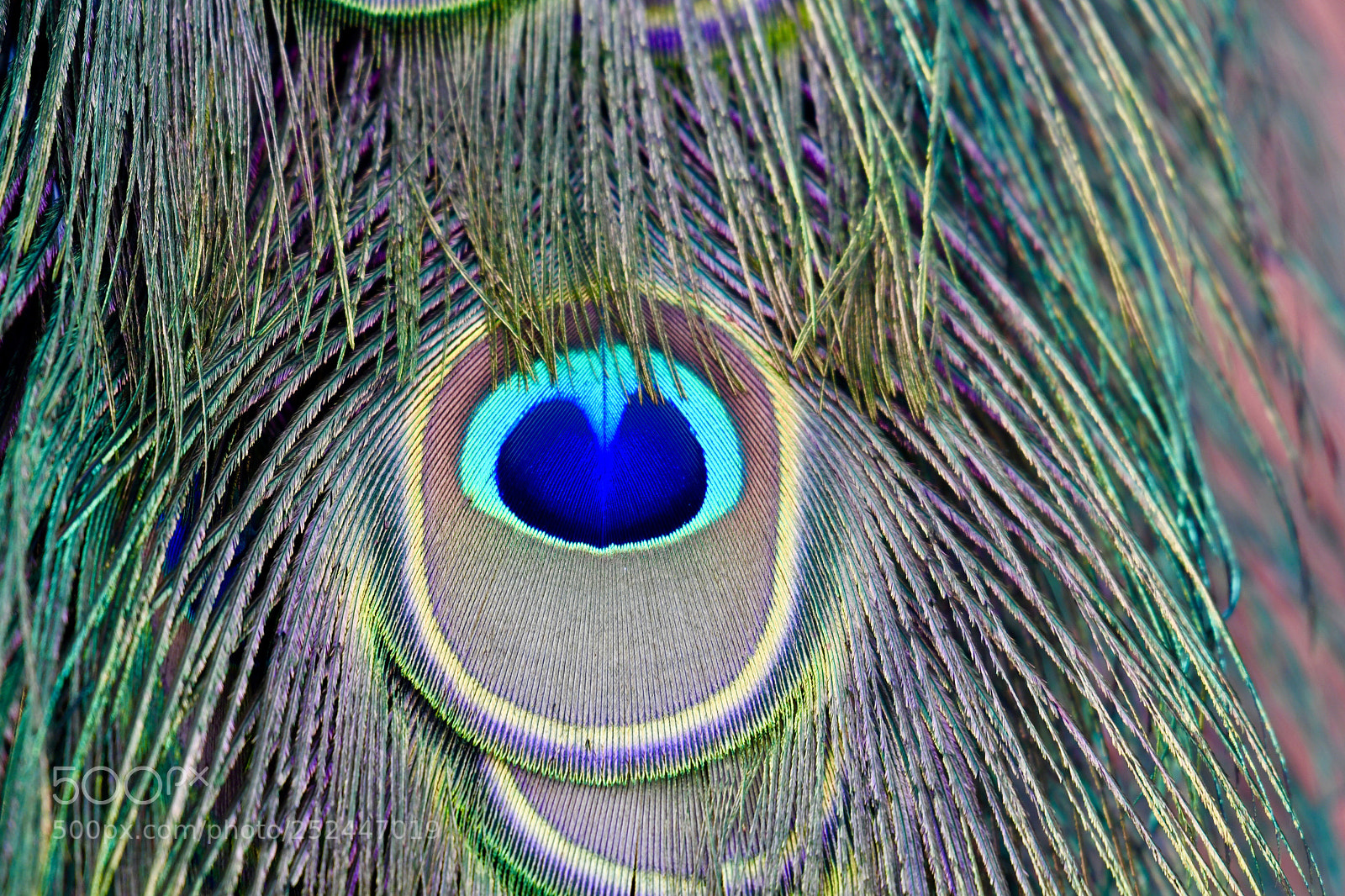 Nikon D7500 sample photo. Untitled photography