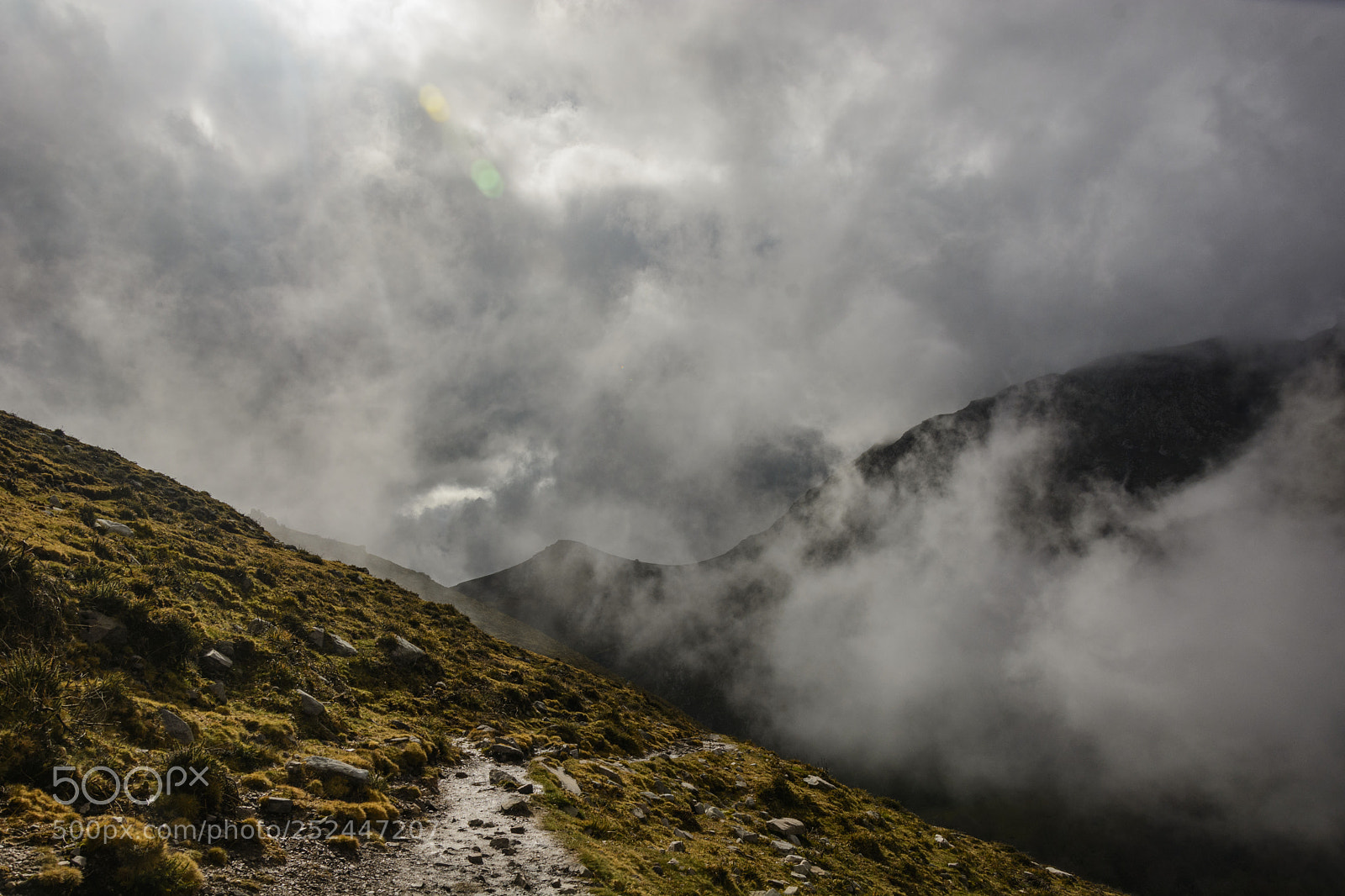 Nikon D7100 sample photo. Fog and sun photography