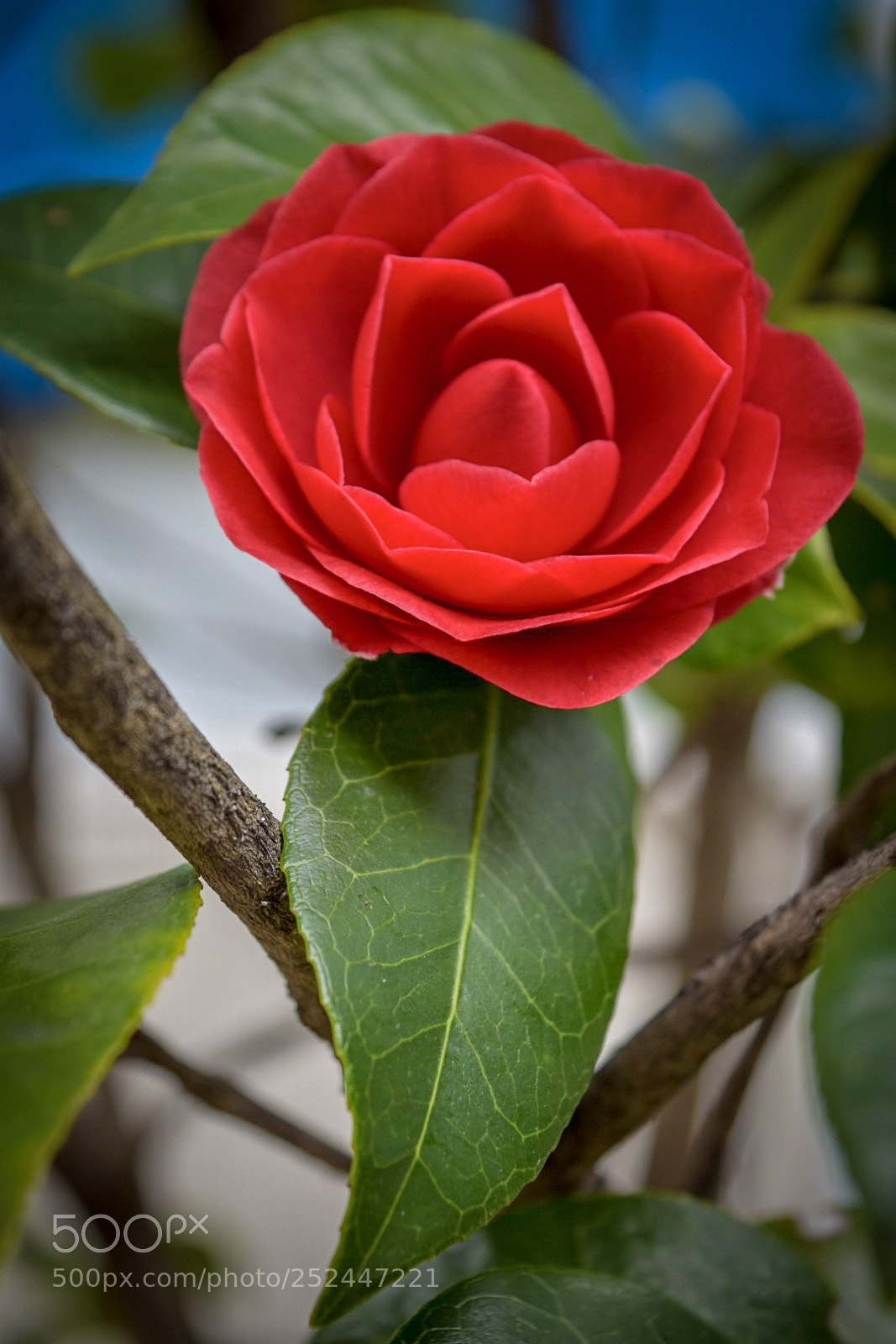 Nikon D5500 sample photo. Untitled photography